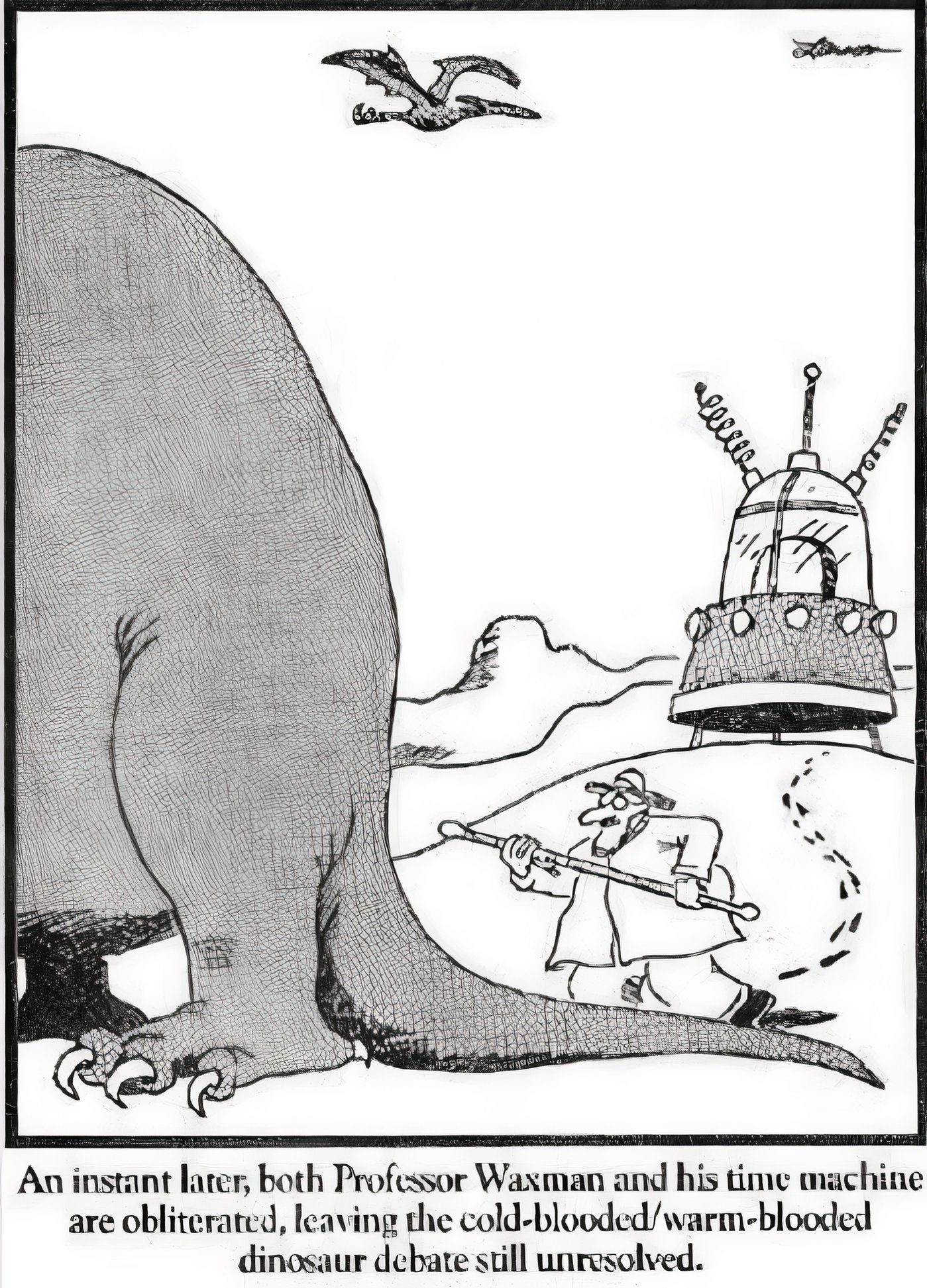 A time-traveling trying to take a dinosaur's temperature in The Far Side.