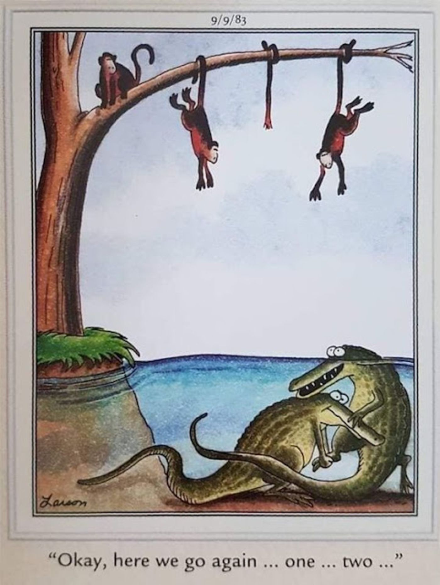 Crocodiles giving each other a boost to reach monkeys in tree.