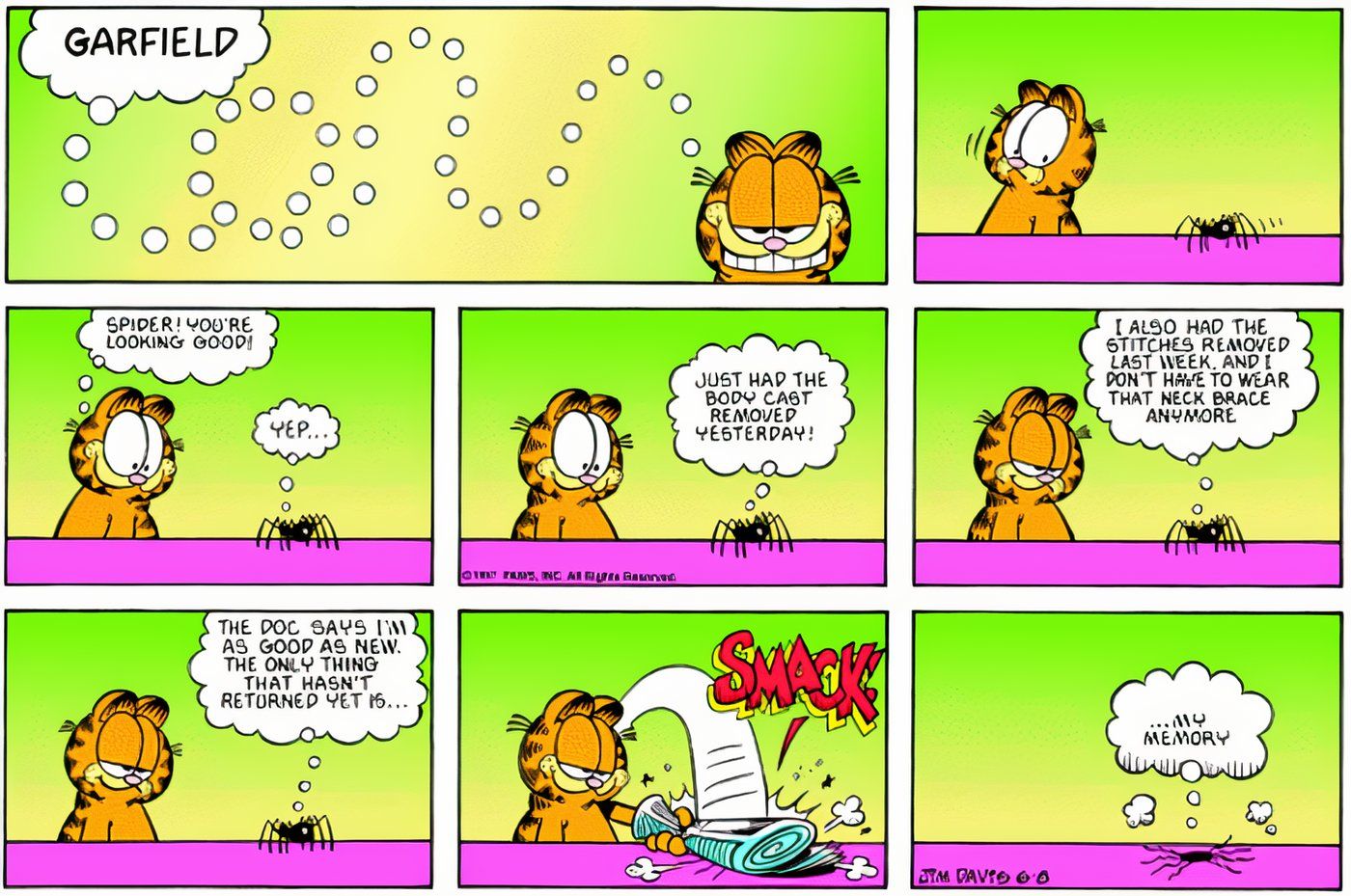 Garfield golpeando uma aranha que acabou de se recuperar de ferimentos.