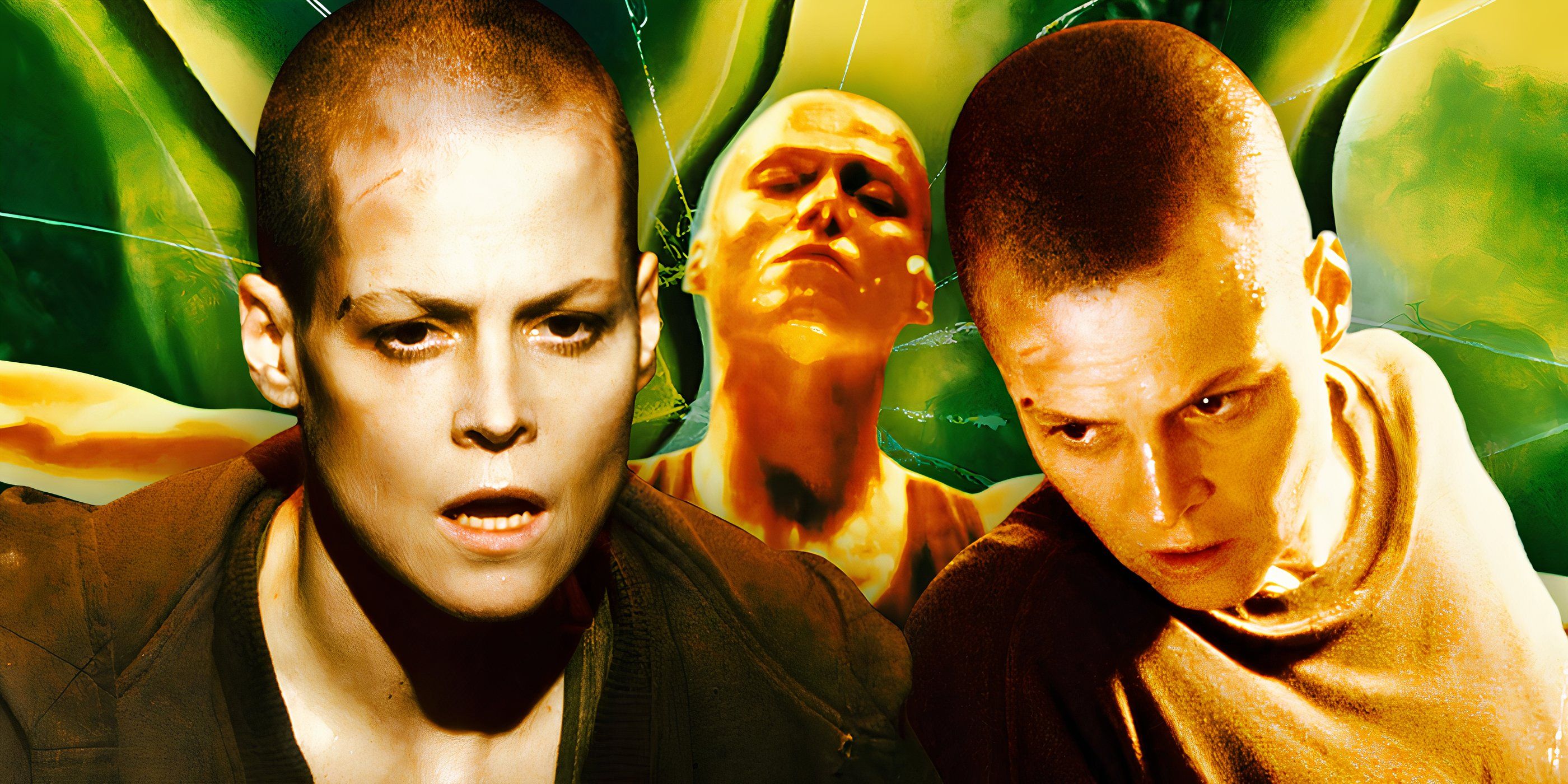 32 Years Later, Alien 3s Worst Ripley Decisions Still Dont Make Sense And Almost Ruined The Franchise