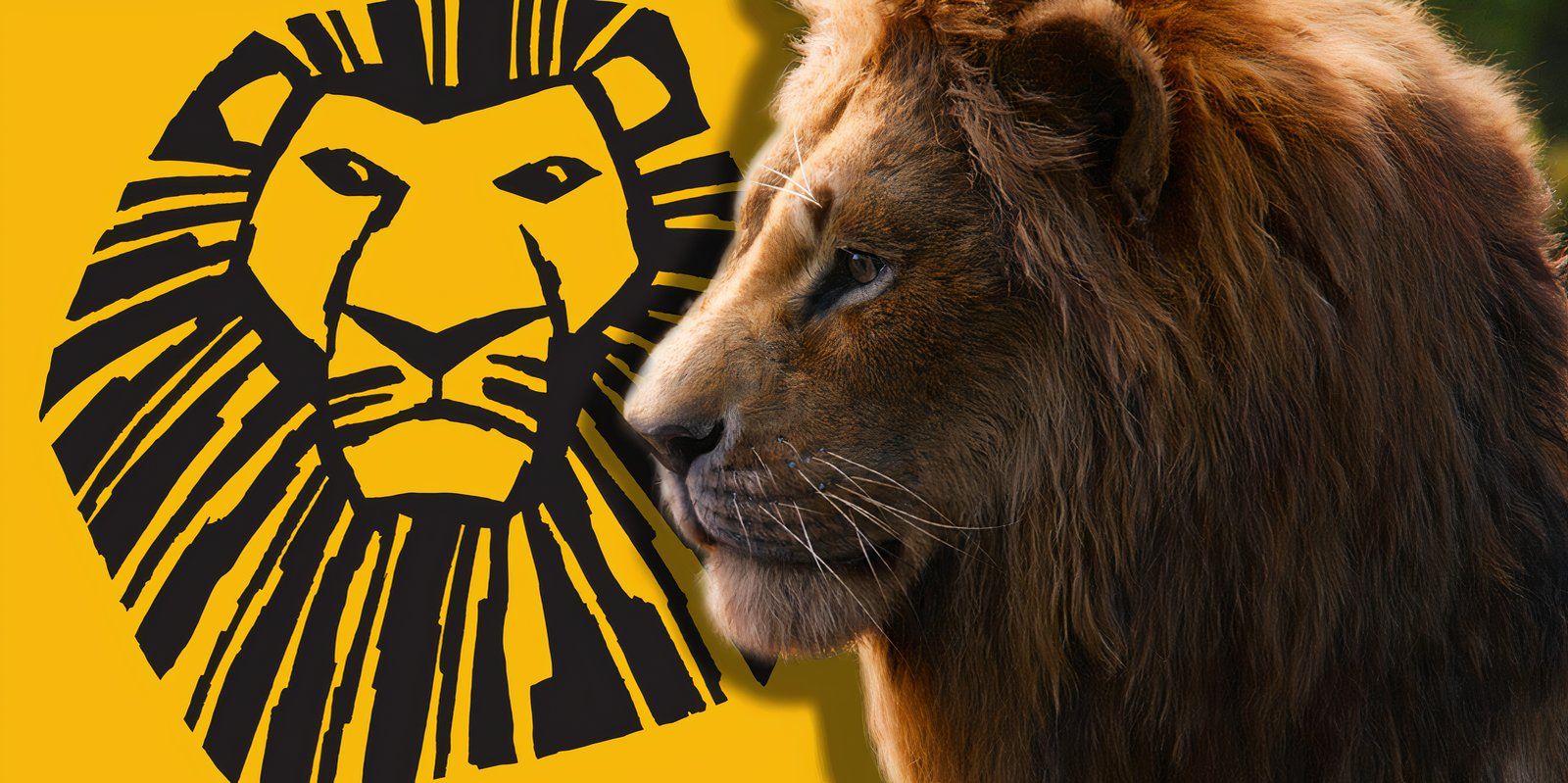 He visto el musical del Rey León y una canción debe estar en la película de Mufasa de este año