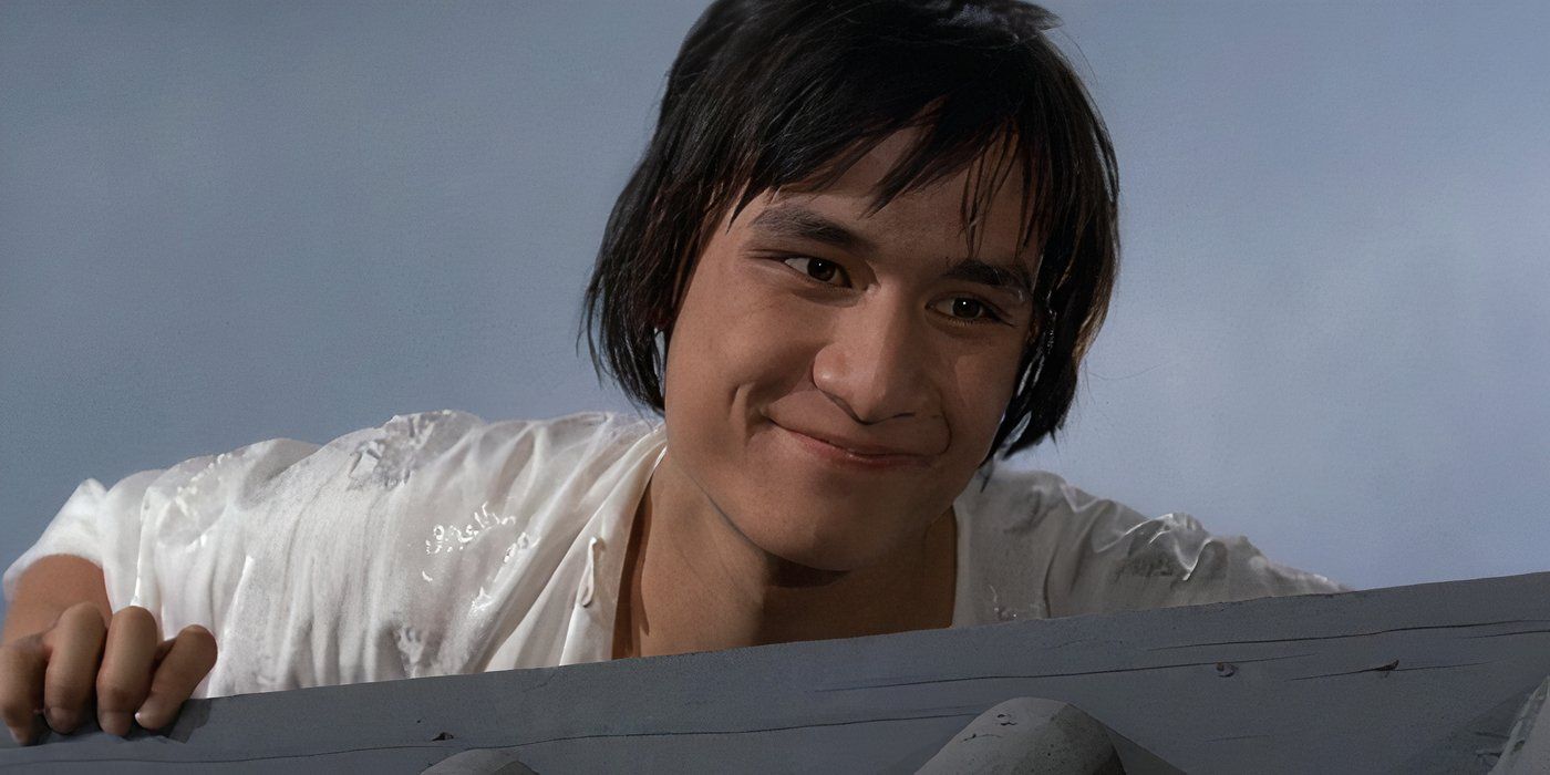 Alexander Fu Sheng's 10 Best Kung Fu Movies