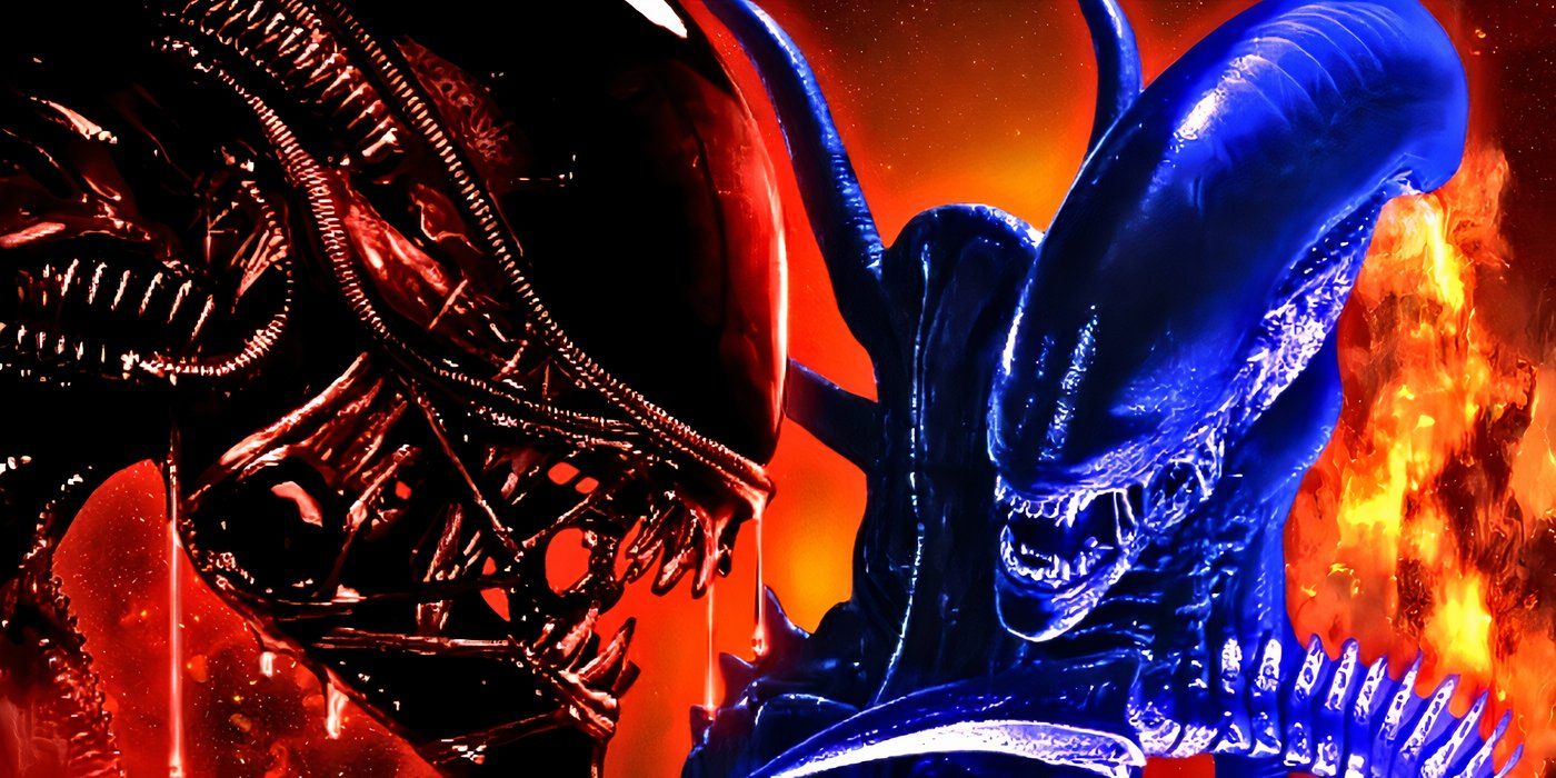 Predators Are Now Stronger Than Ever Thanks To a... Xenomorph-Killing ...