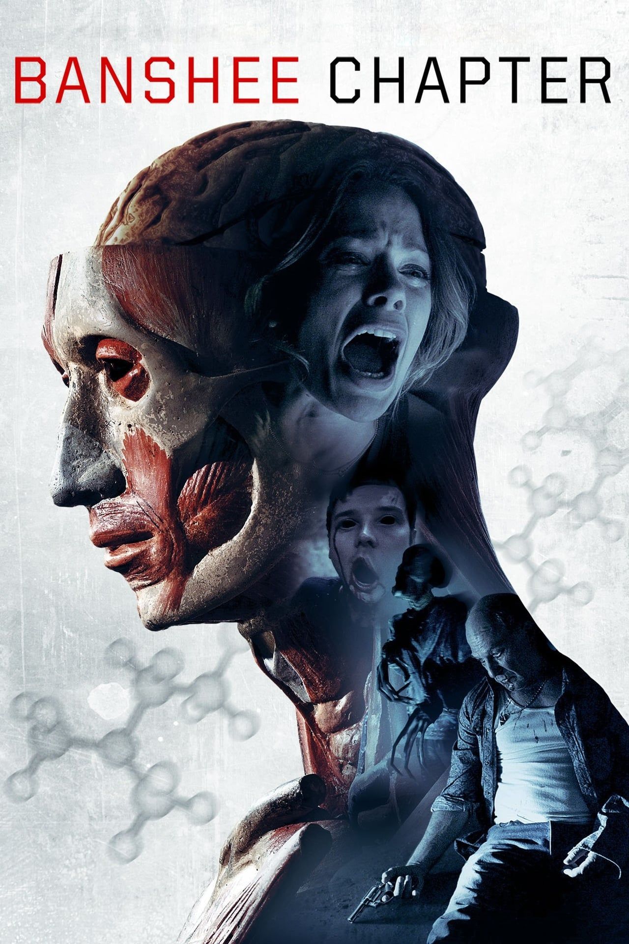 Banshee Chapter (2013) - Poster