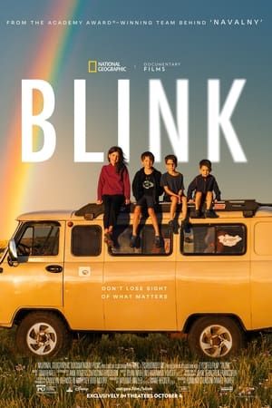 Blink 2024 Film Poster