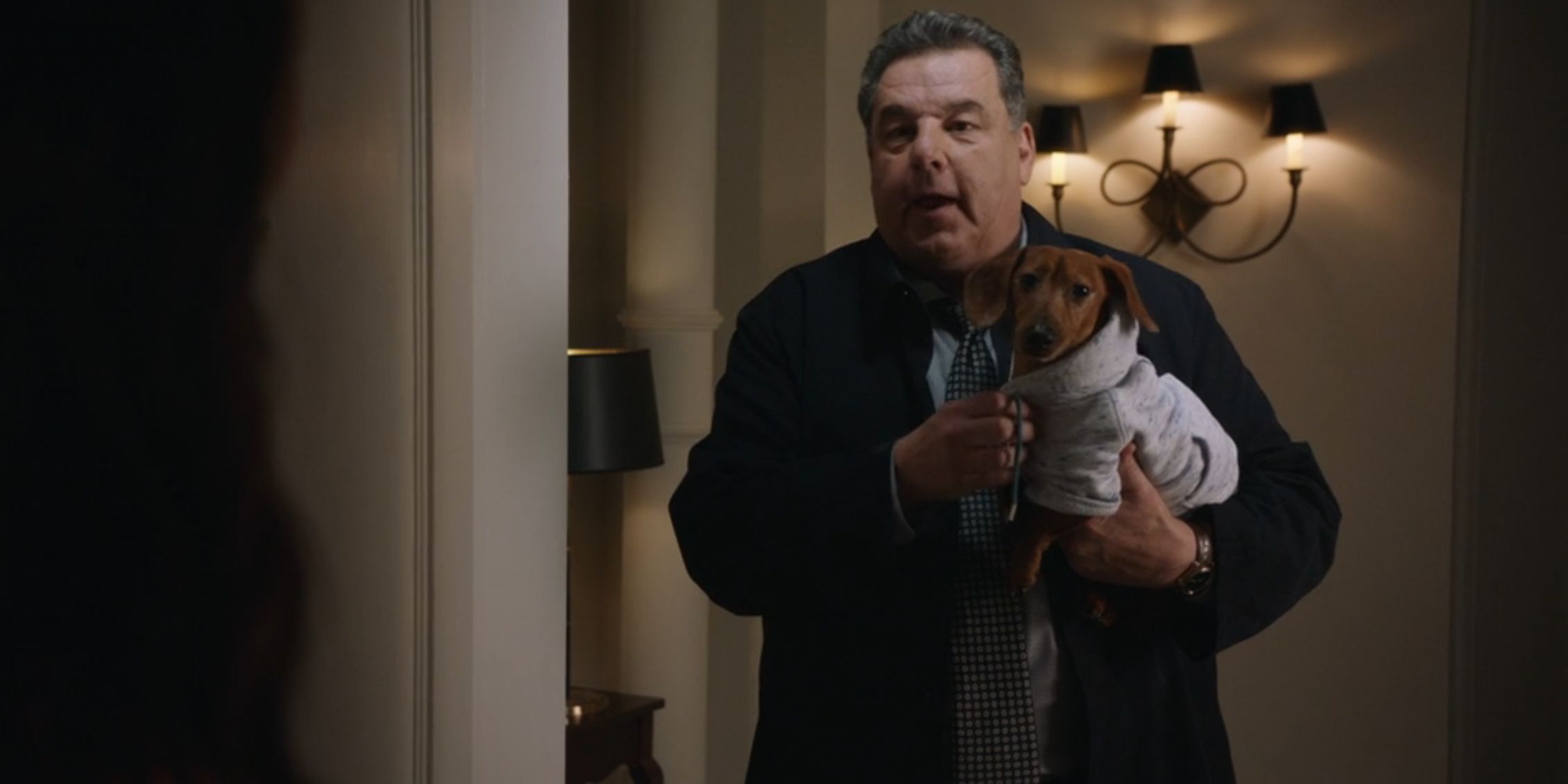 ¿Quién es el nuevo perro de Anthony en Blue Bloods Temporada 14 Episodio 11? El significado secreto del cameo de Willie Boy