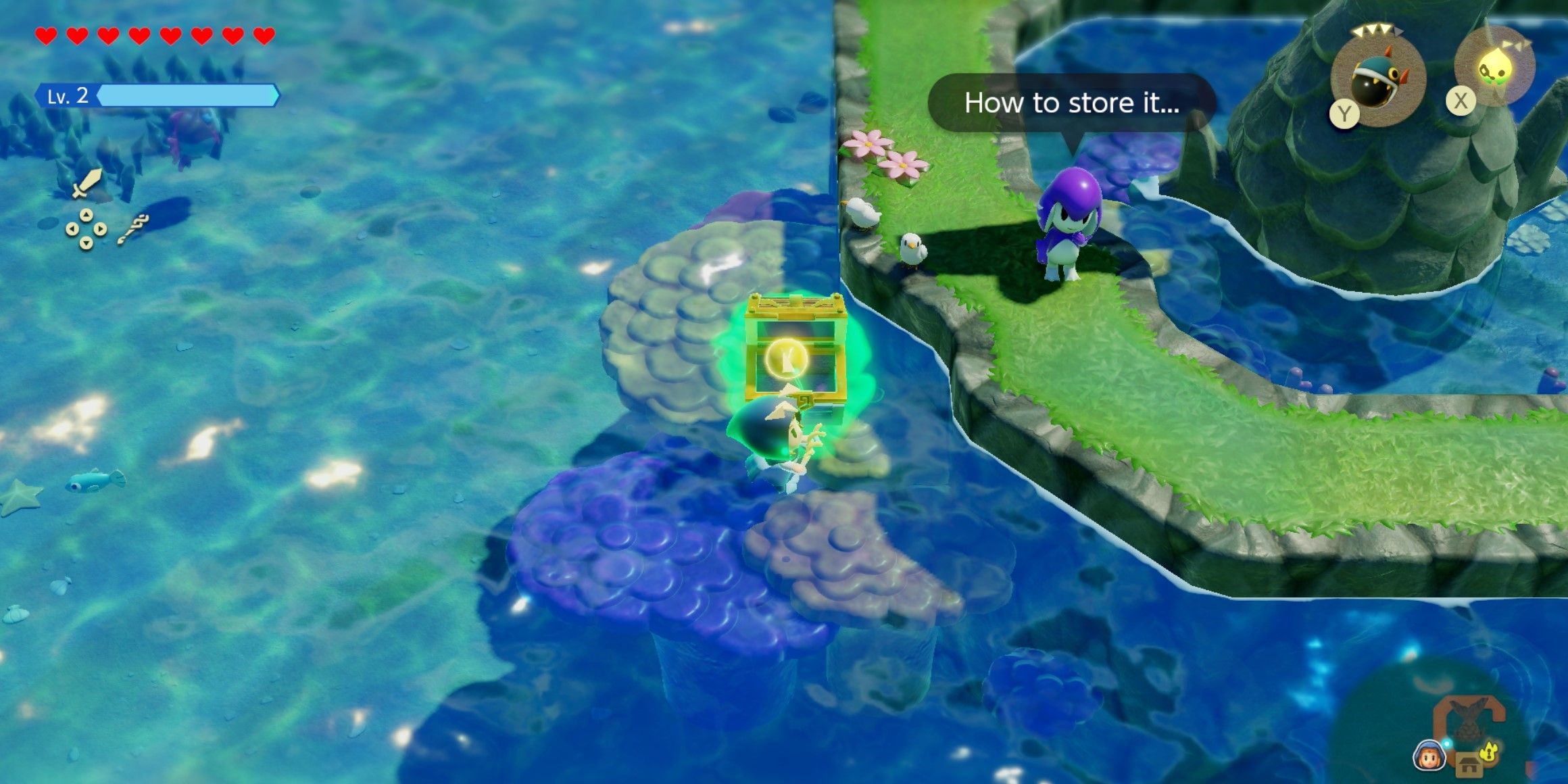 The Legend Of Zelda: Echoes Of Wisdom - How To Complete The Precious Treasure Side Quest