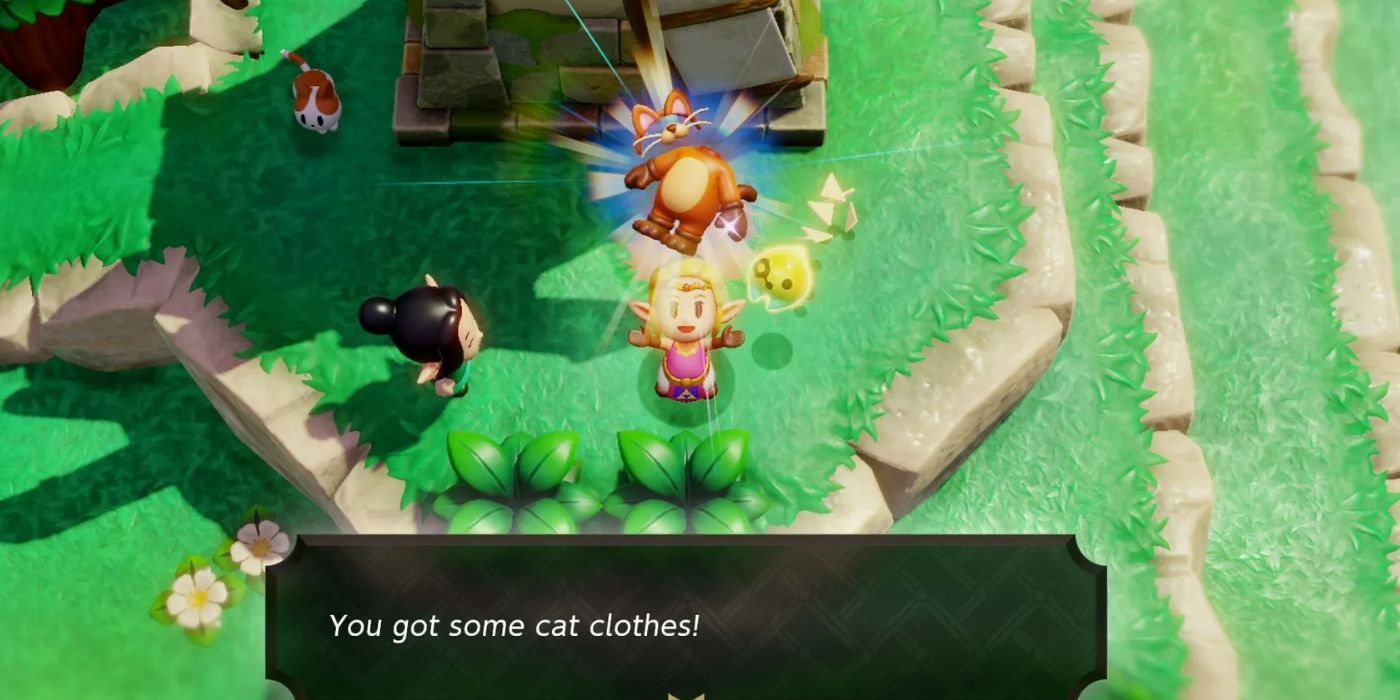 Ropa de gato en Zelda Photo of Wisdom