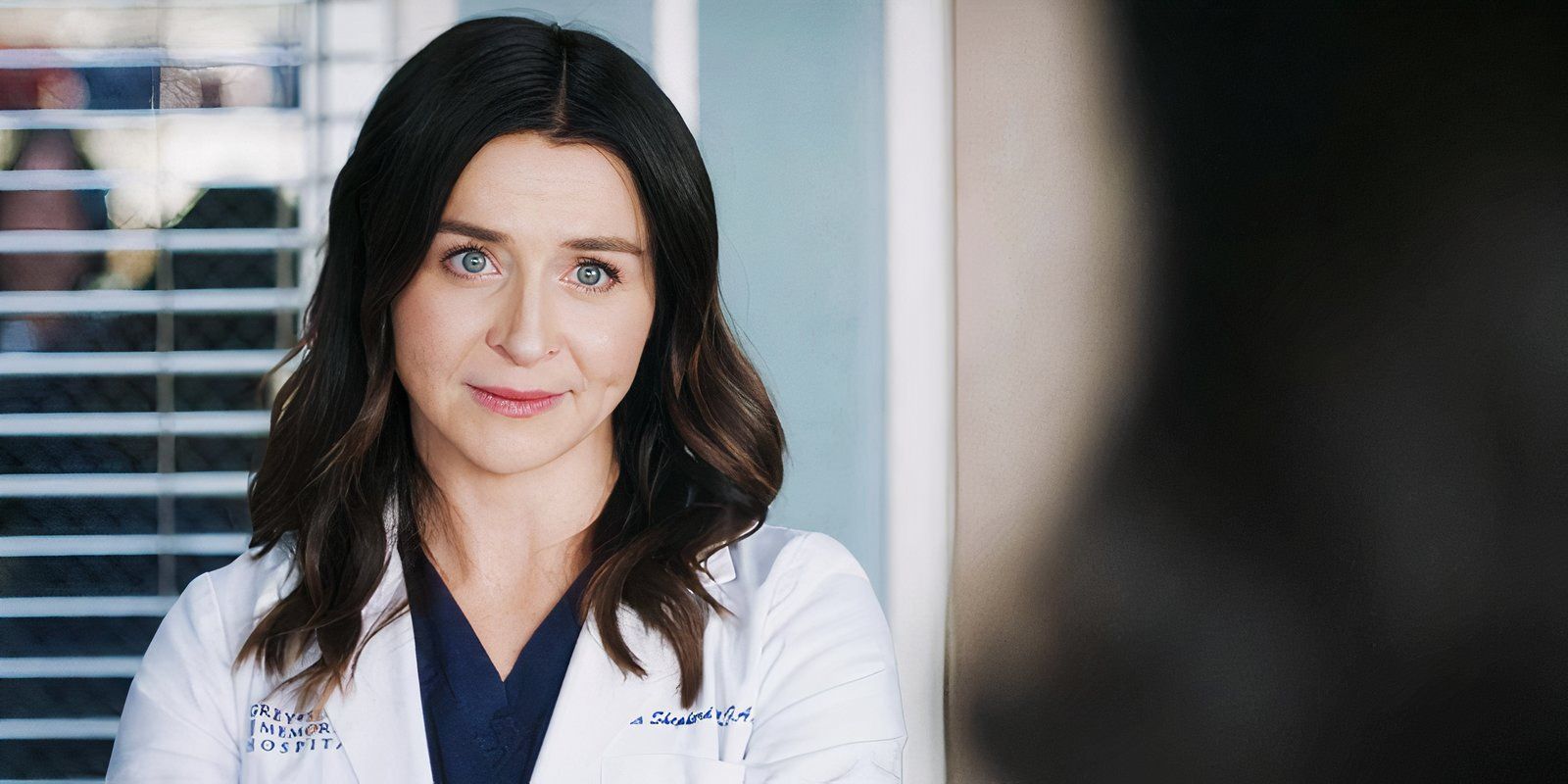 Grey's Anatomy Season 21's Amelia Story Honored 1 Of Derek Shepherd's Best Case From 15 Years Ago