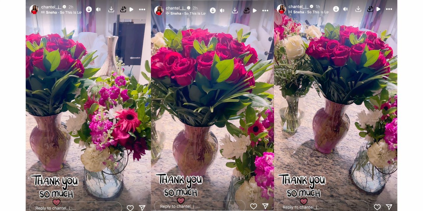 Chantel Everett from The Family Chantel Instagram story flowers from mystery man