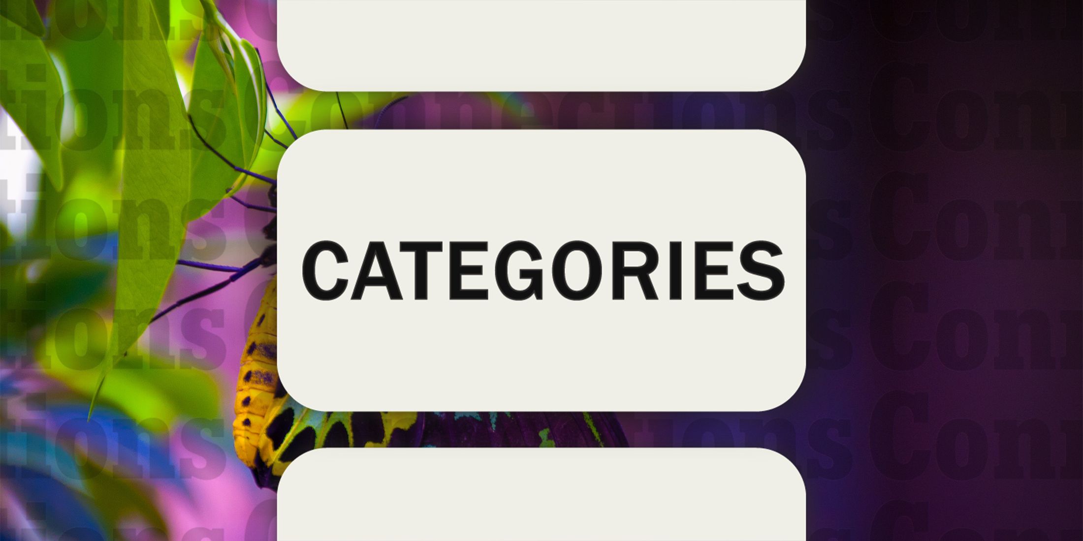 Butterflies in Connections Categories November 1