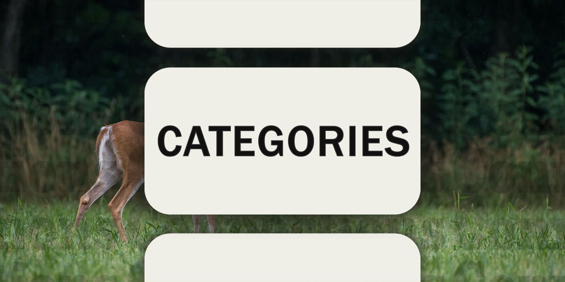 Doe October 10th in Connections Category