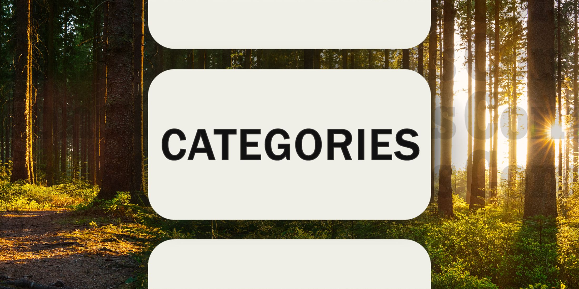 Peace in Connections Categories October 16