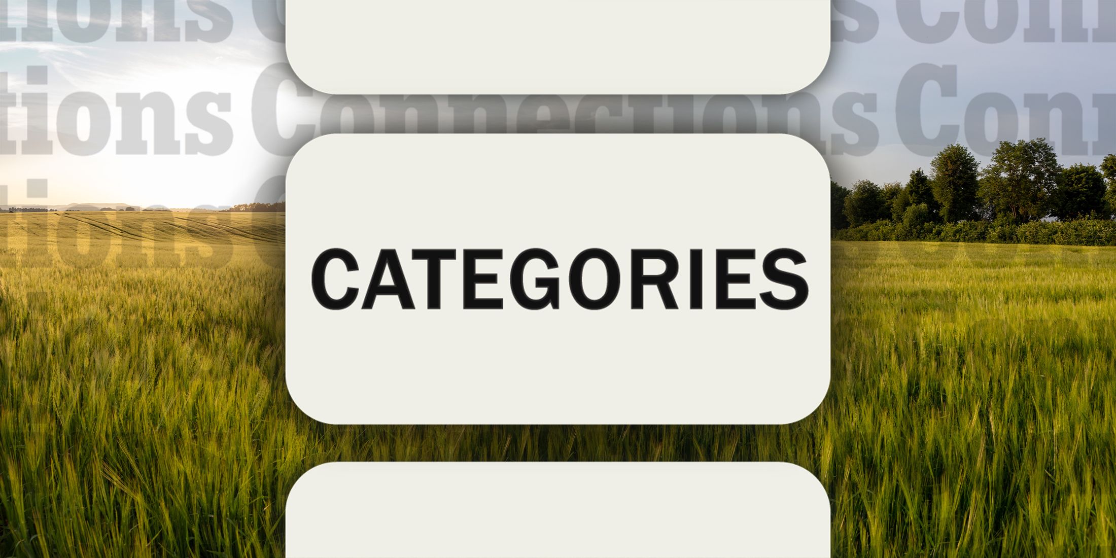 A field in Connections Categories October 17