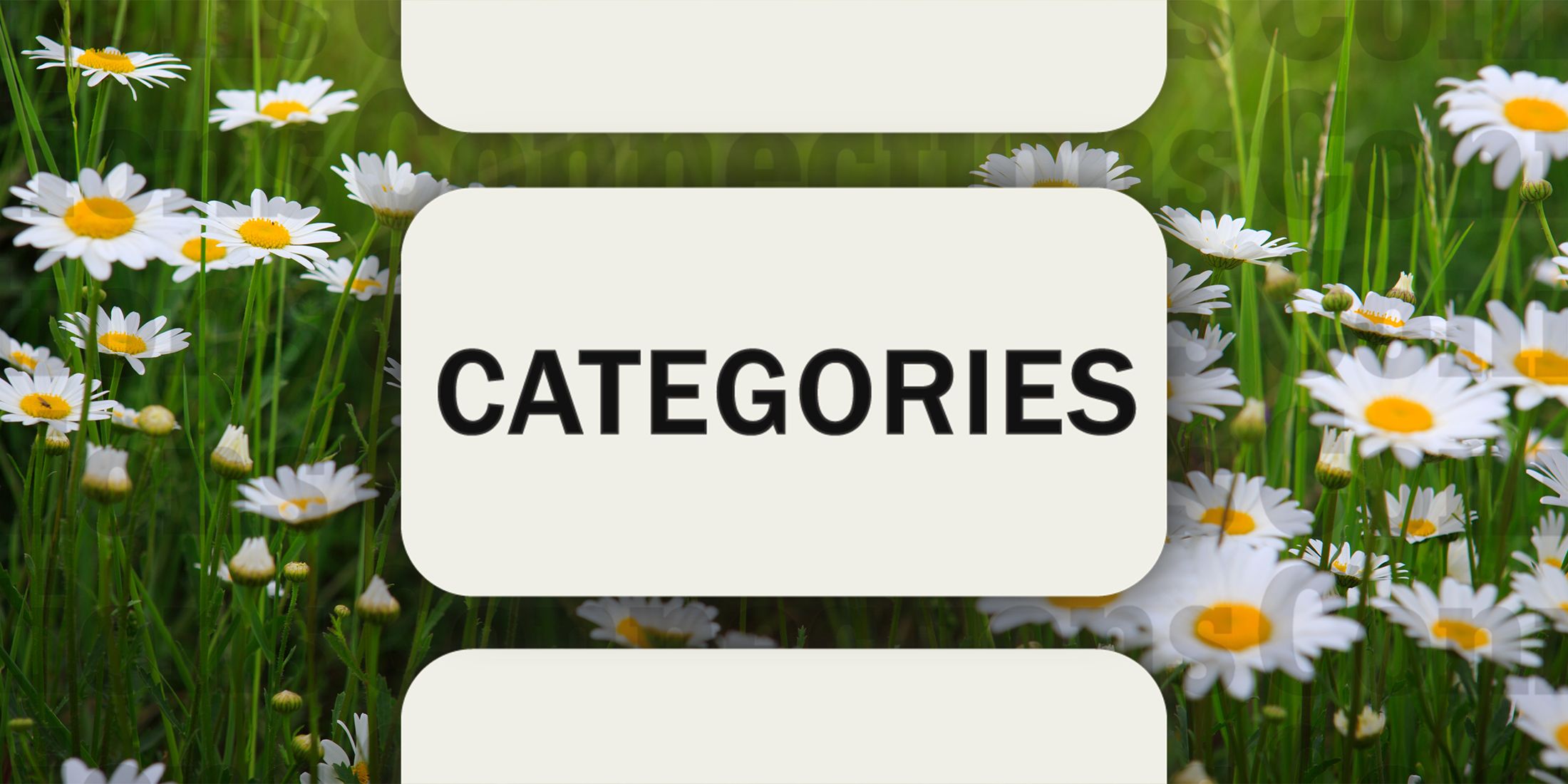 Daisies in Connections Categories October 4