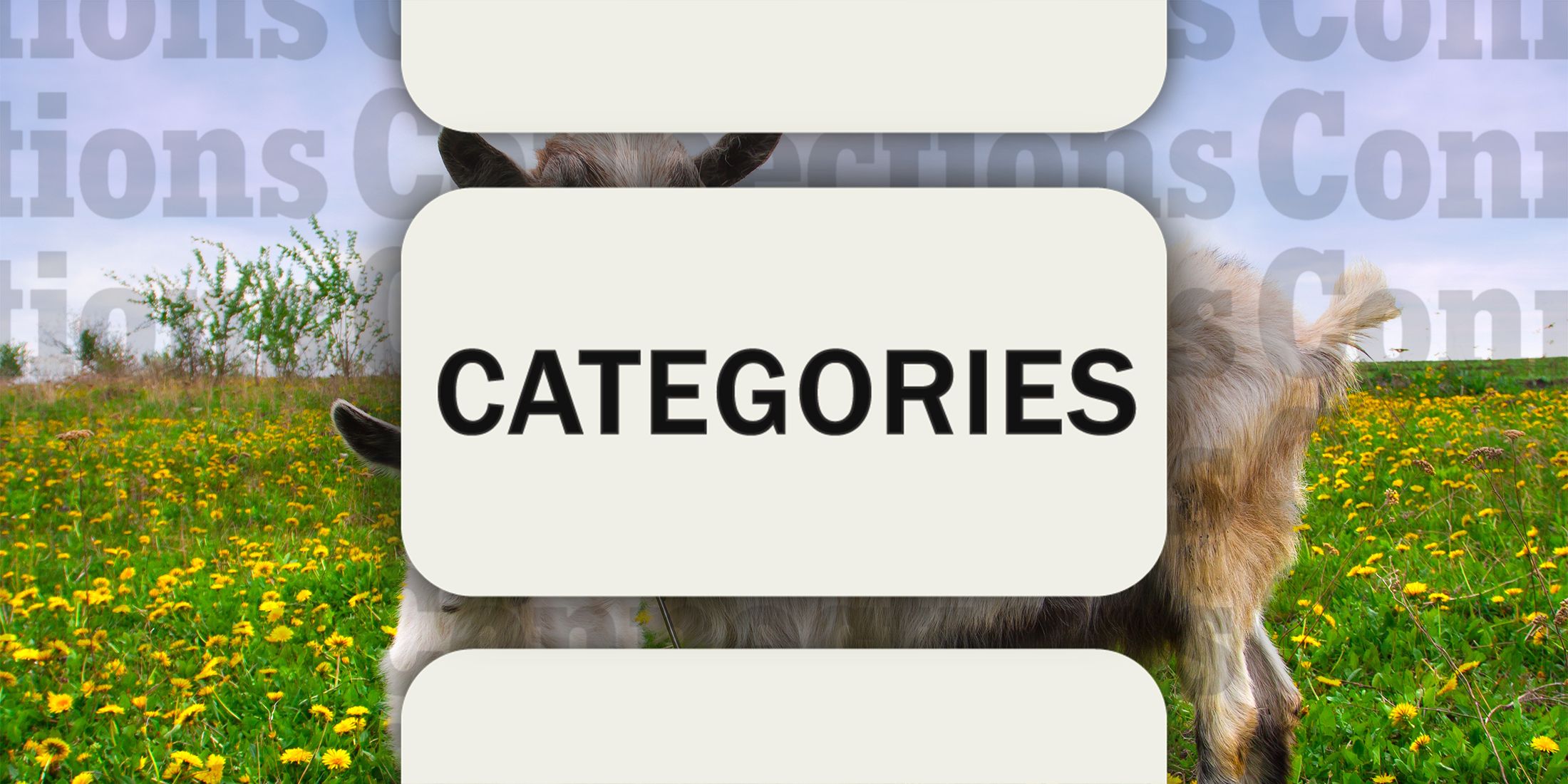 More goats in Connections Categories October 6