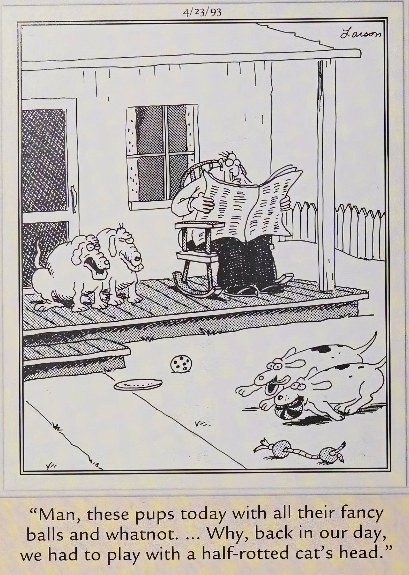 Far Side, April 23, 1993, old dogs on a porch watching young pups race by