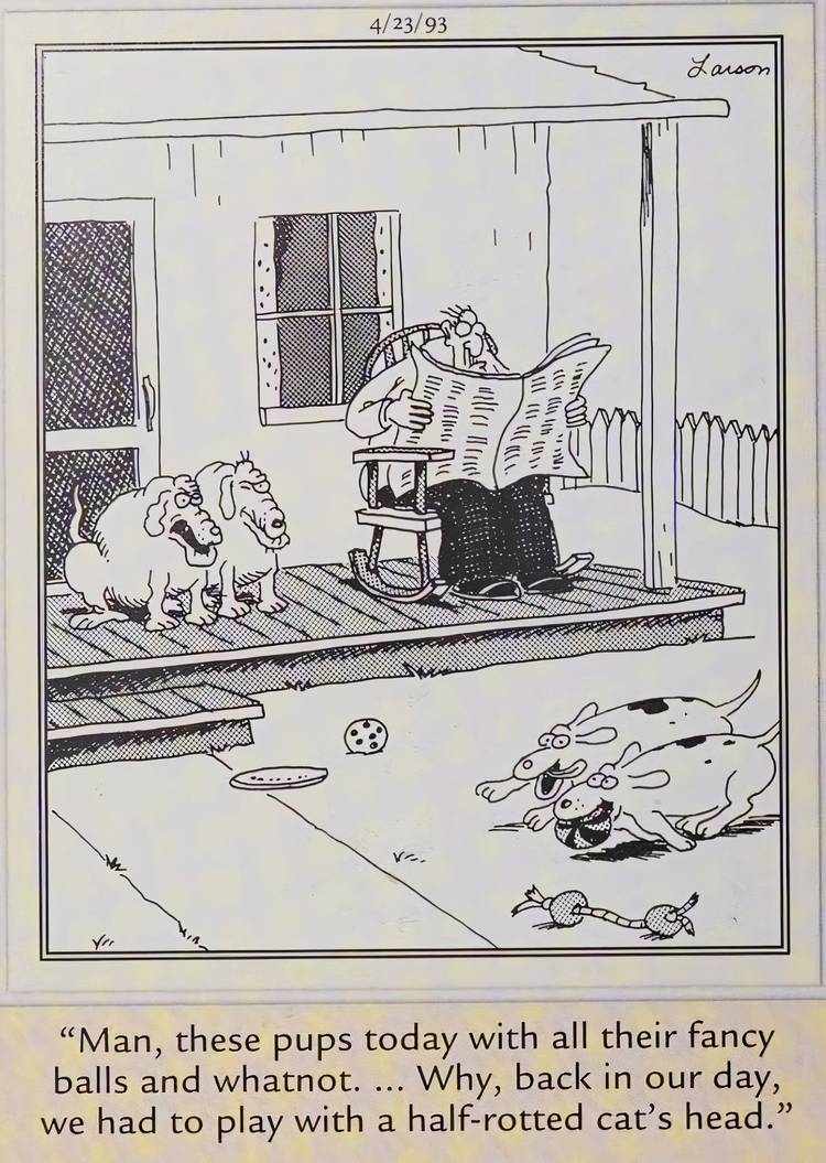 Far Side, April 23, 1993, old dogs on a porch watching young pups race by