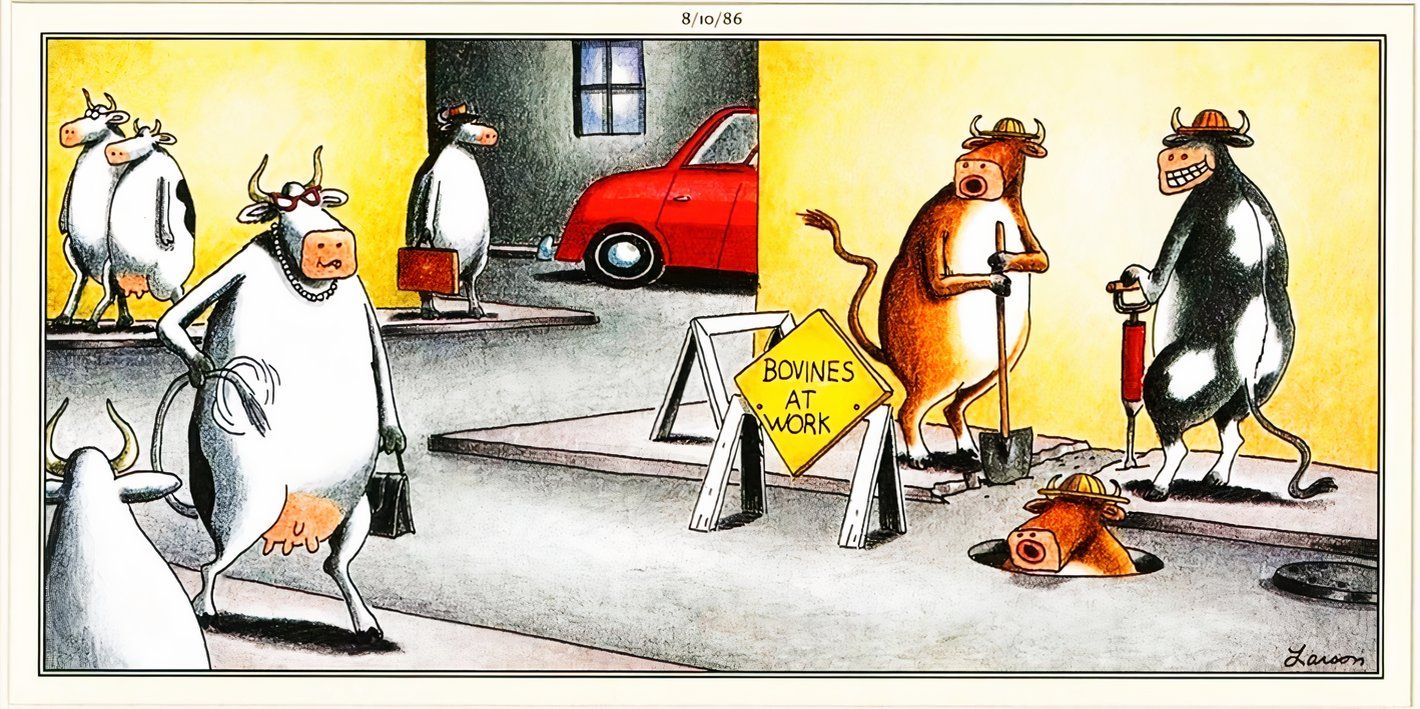 Far Side, 10 de agosto de 1986, touros assobiando para uma vaca enquanto ela passa por uma rua da cidade