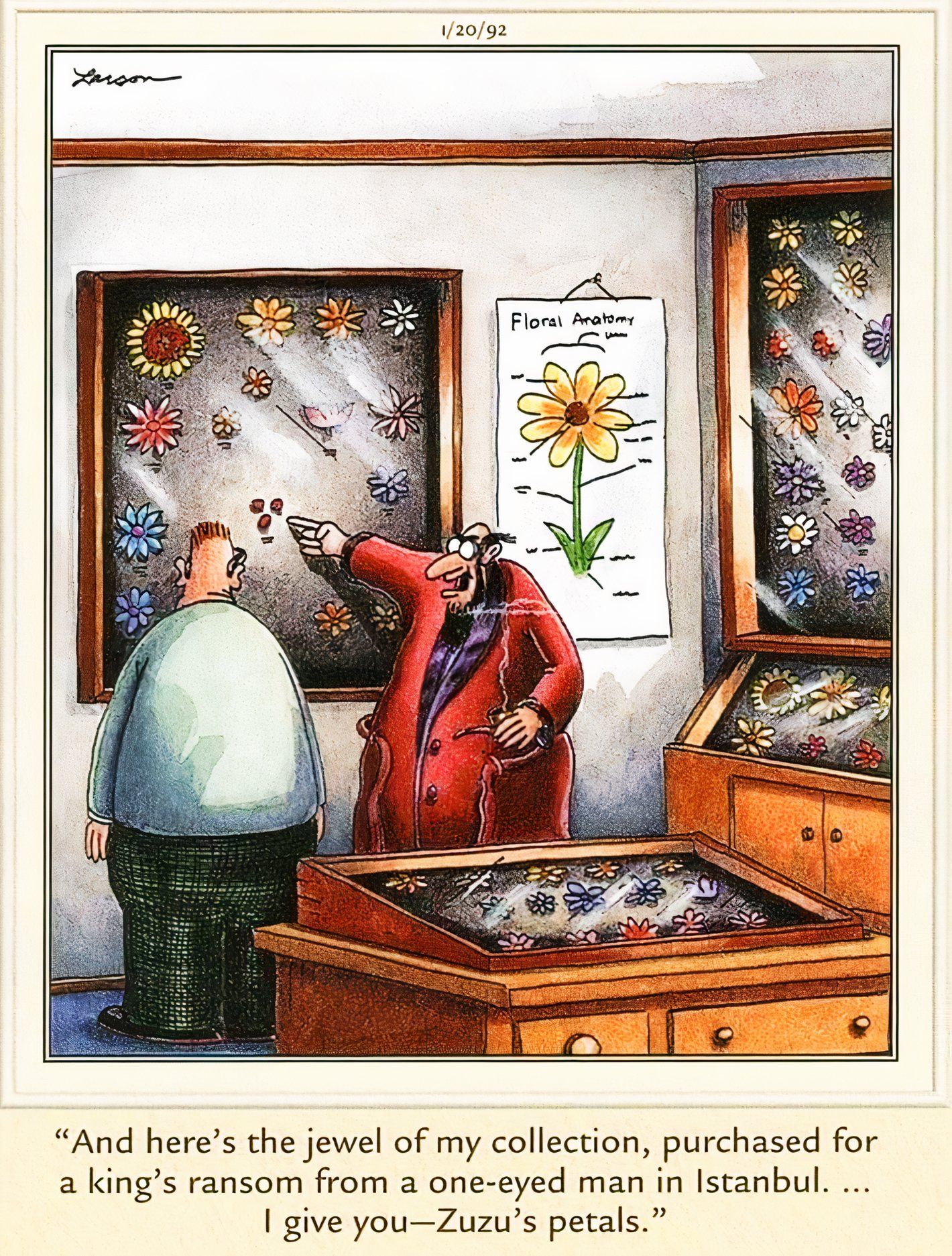 Far Side, 20 de janeiro de 1992, um homem exibindo sua coleção de flores raras