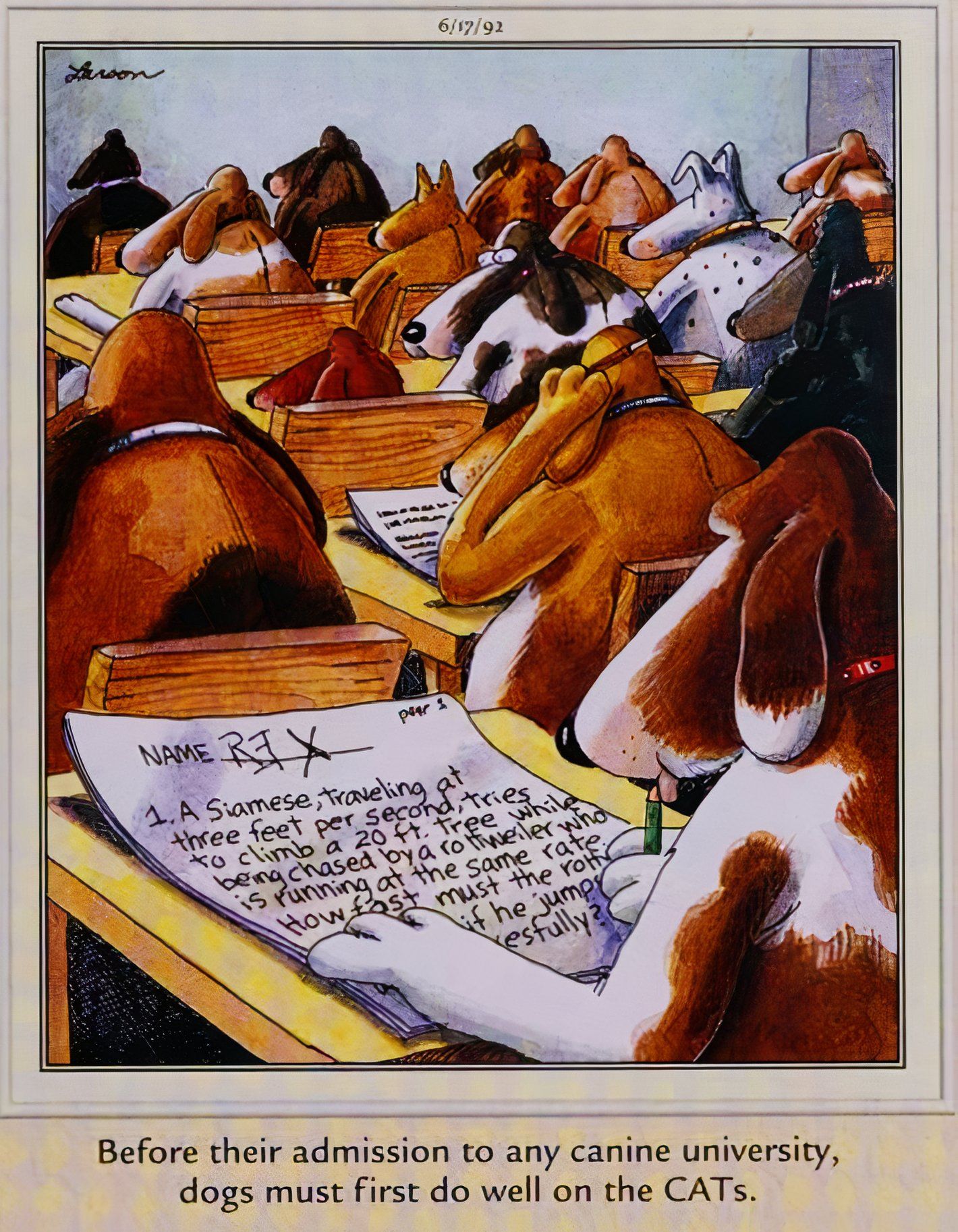 Far Side, June 17, 1992, dogs at wooden desks taking their CATs