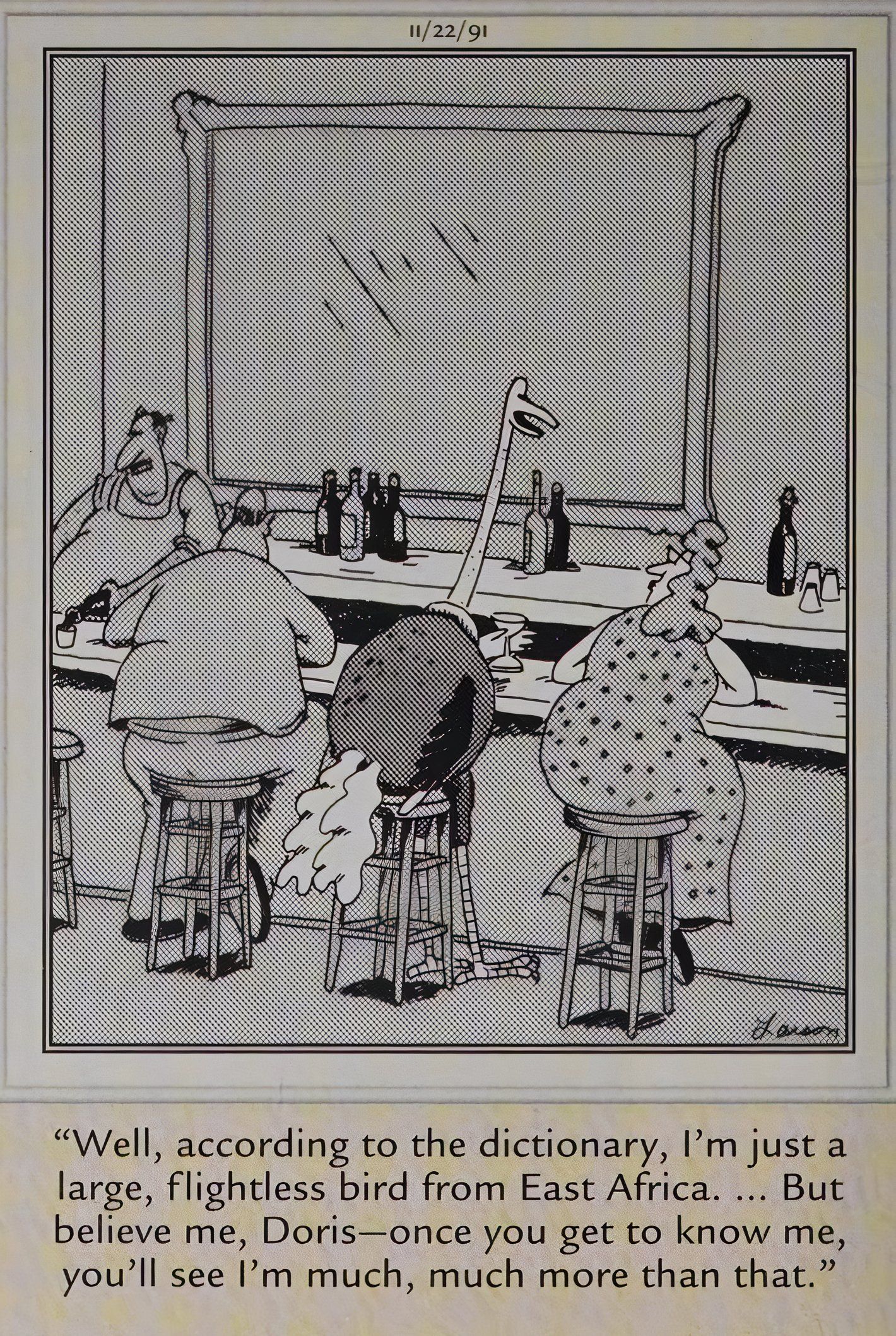 Far Side, November 22, 1991, an ostrich at a bar tells a woman he is so much more than a flightless bird