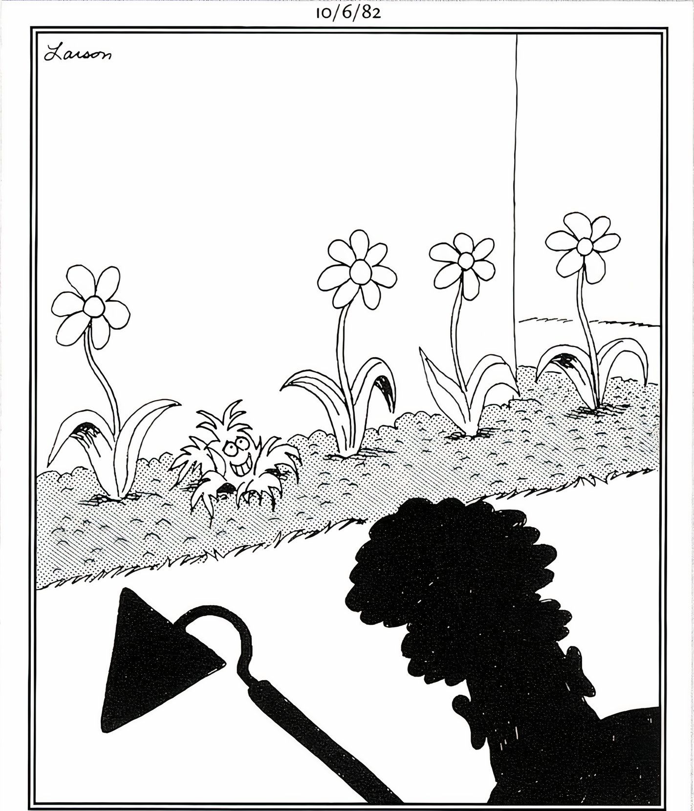 Far Side. October 6, 1982, a weed smiles nervously as a woman approaches her garden to remove it