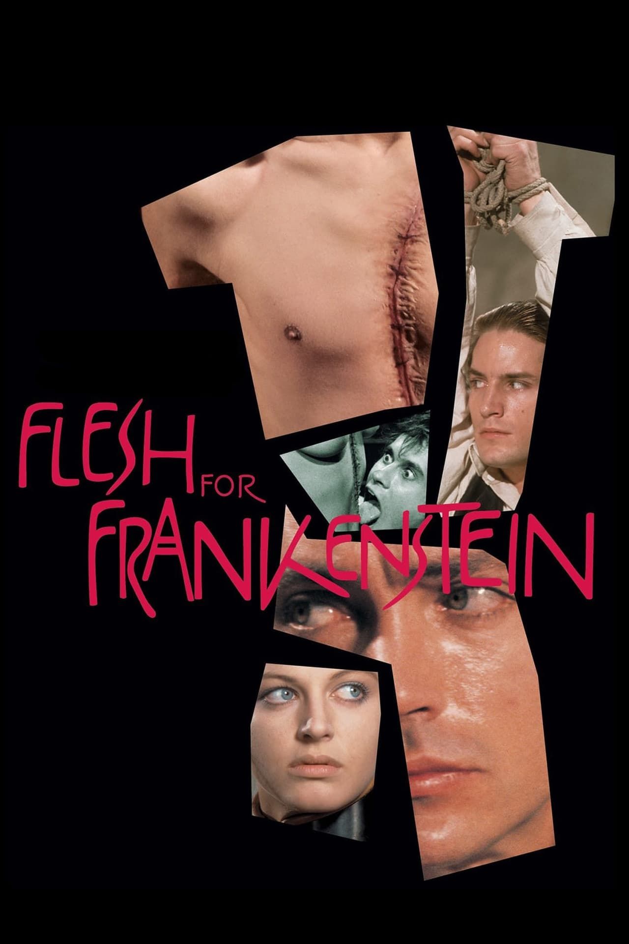 Flesh for Frankenstein (1973) - Poster