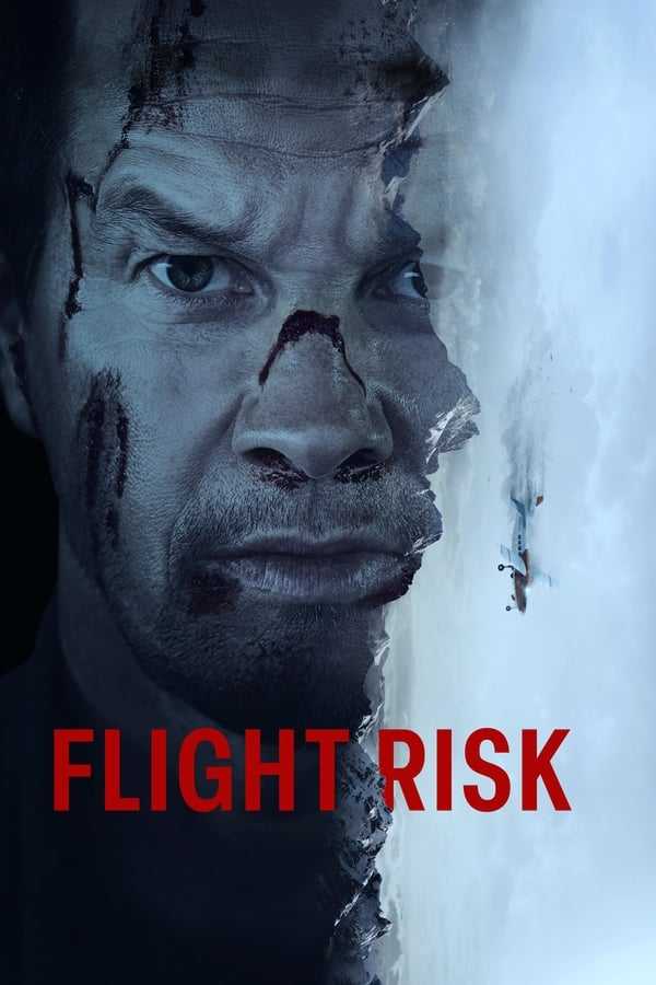 Flight risk Poster