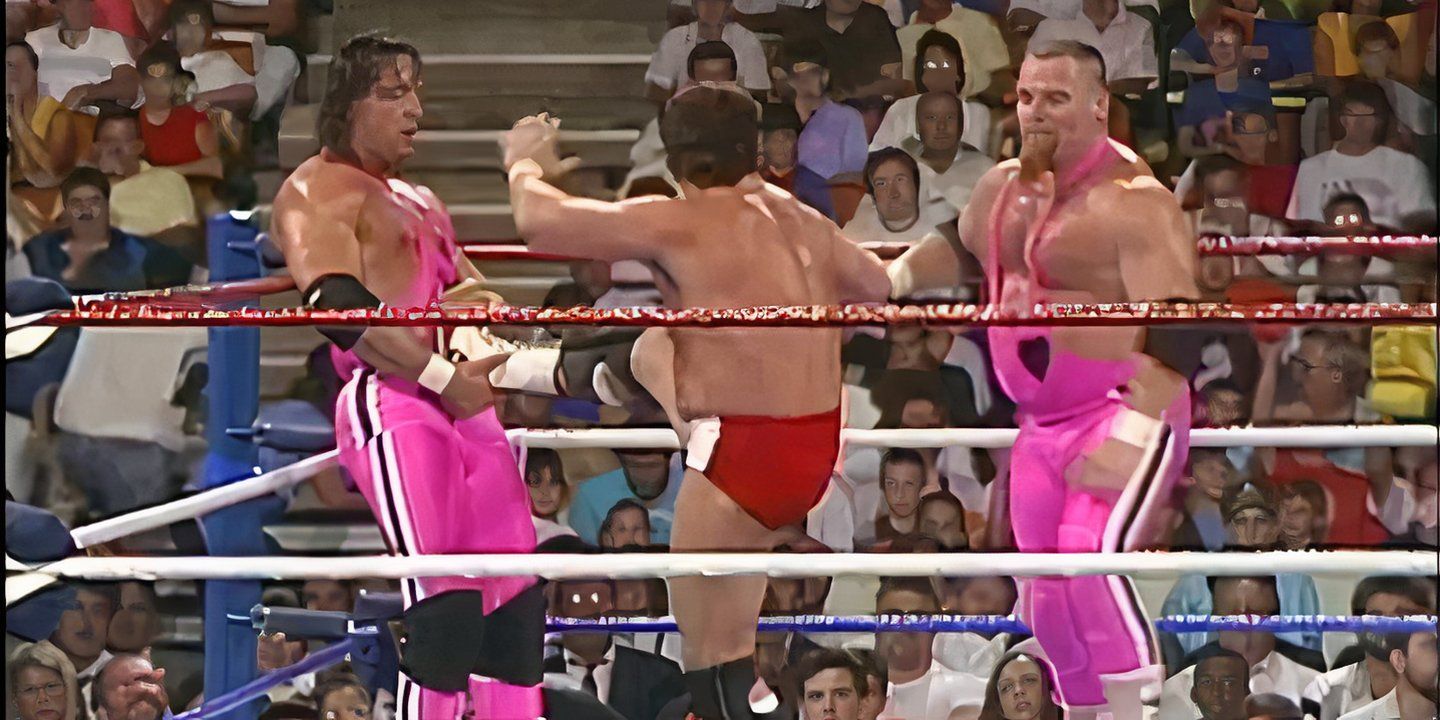 Hart Foundation vs Brain Busters SummerSlam 89