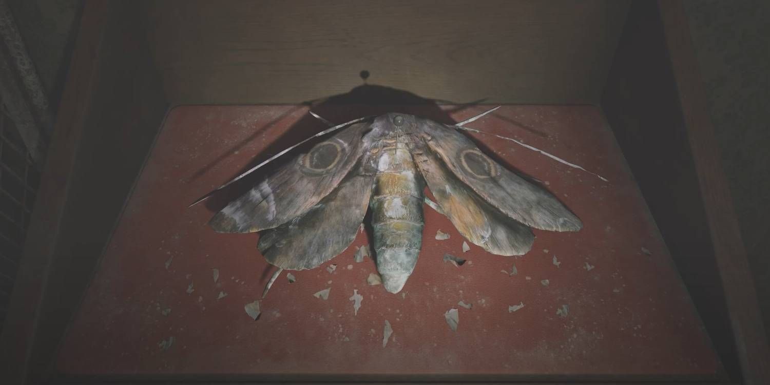 Silent Hill 2 Remake a dead moth displayed in the Moth Room with symbols on the wings for the Moth Room puzzle