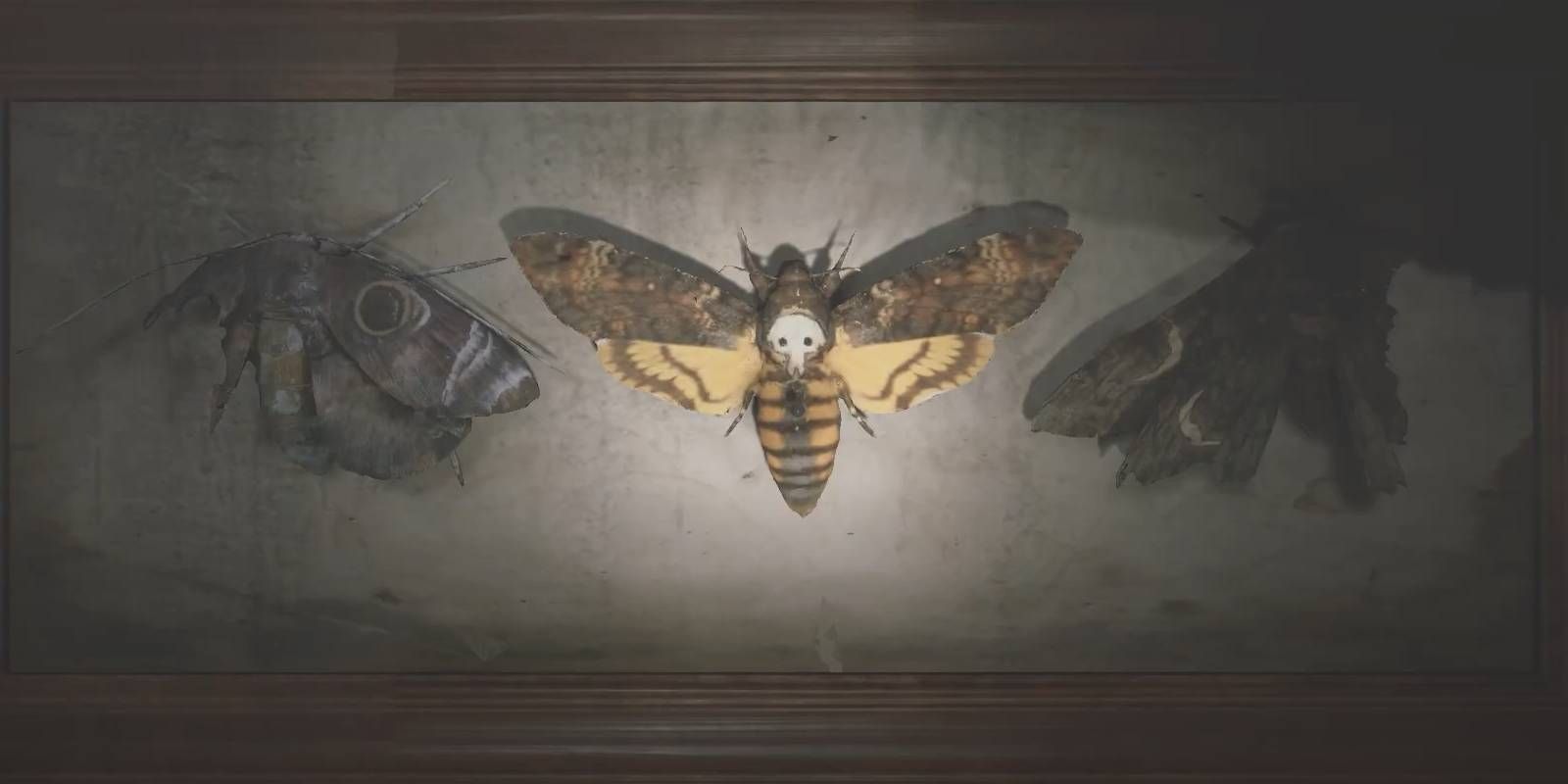 Silent Hill 2 Recrie muitas mariposas na exibição de quebra-cabeças da Moth Room