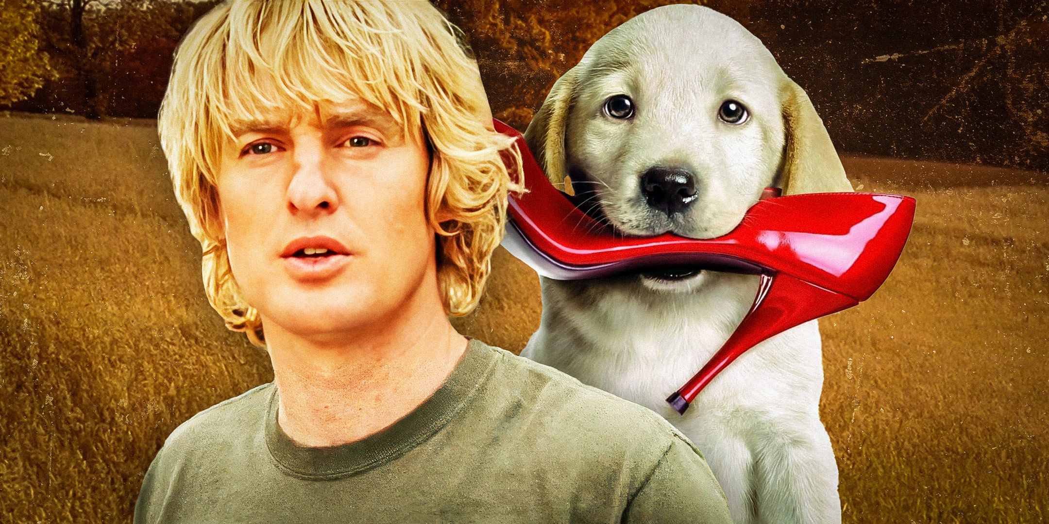 Is Marley & Me Based On A True Story? Real-Life Inspiration Explained