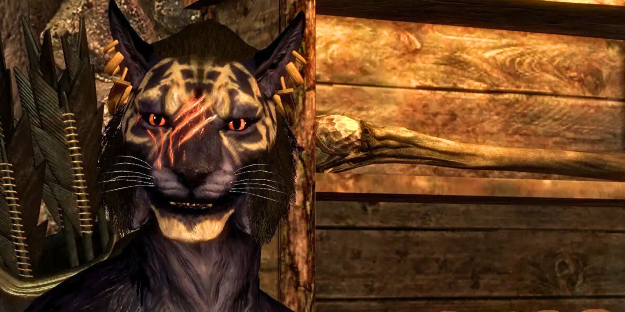 A cat person called INIGO from skyrim