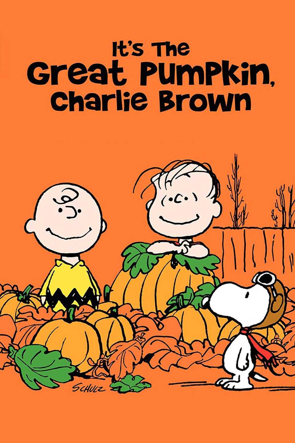It's the Great Pumpkin, Charlie Brown - Poster