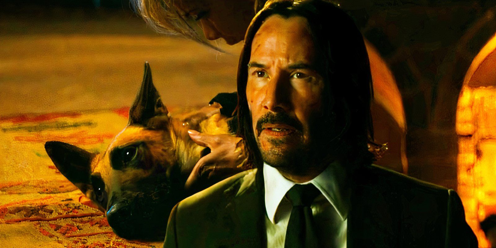 El entrenamiento del perro de John Wick 3 tomó más tiempo que el rodaje de la película, recuerda el especialista