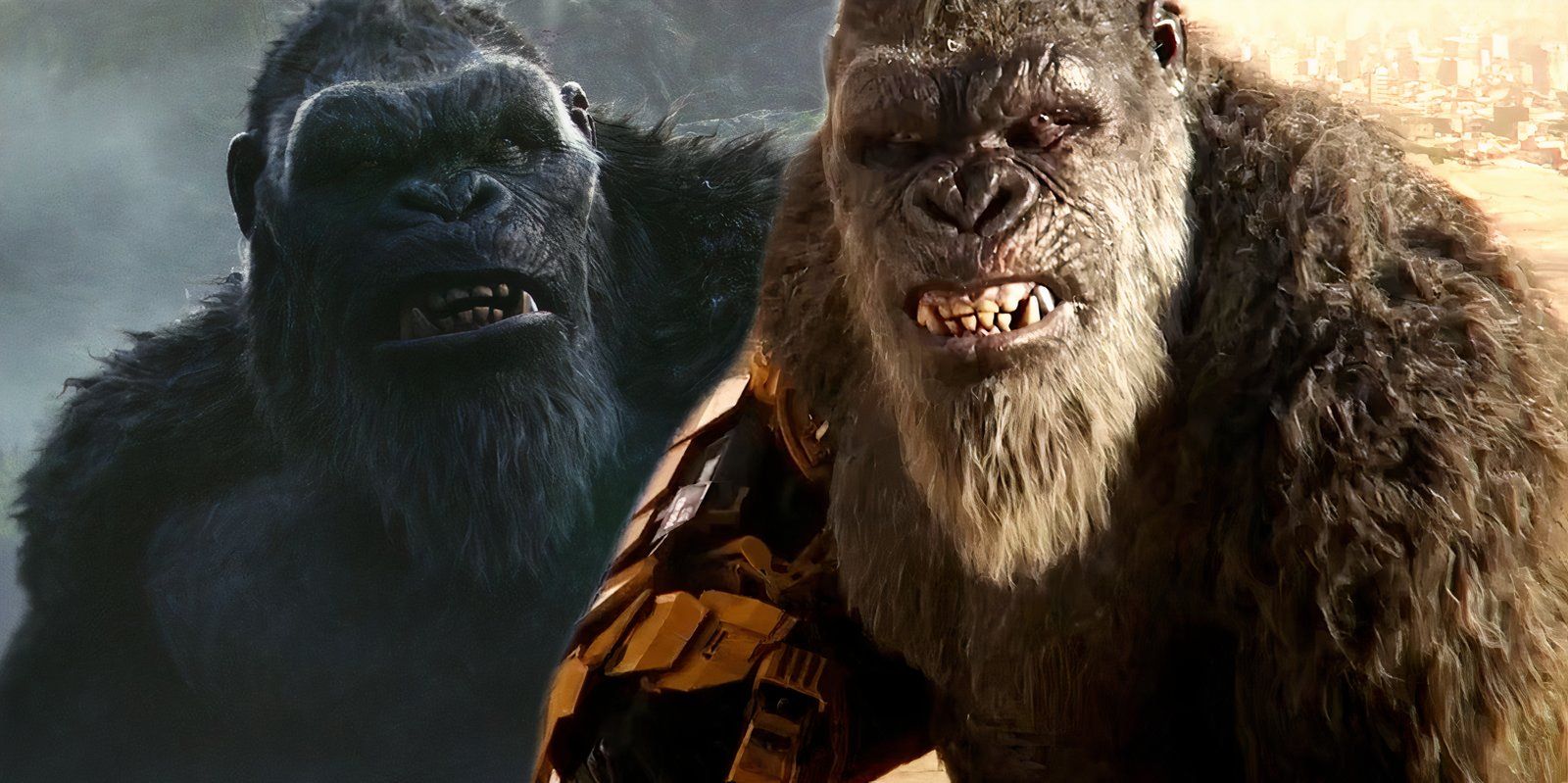 El regreso de Kongs Monsterverse finalmente puede compensar la verdadera secuela de Skull Island que nunca sucedió