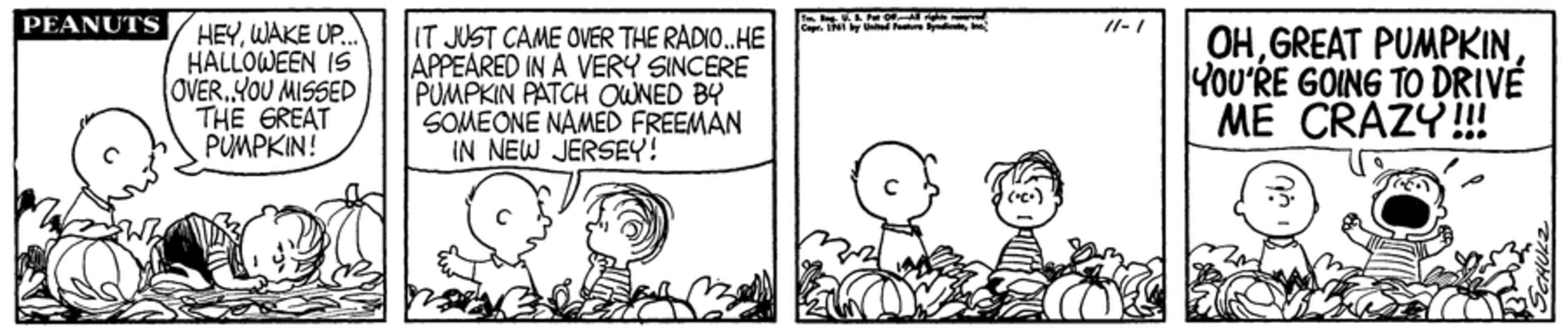 Charlie Brown waking up Linus in the pumpkin patch.