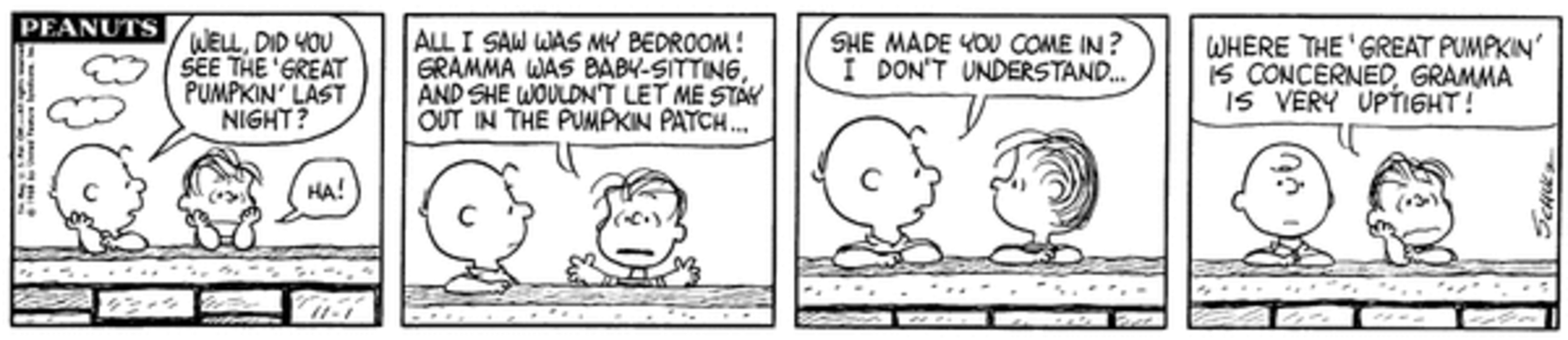 Charlie Brown and Linus talking.