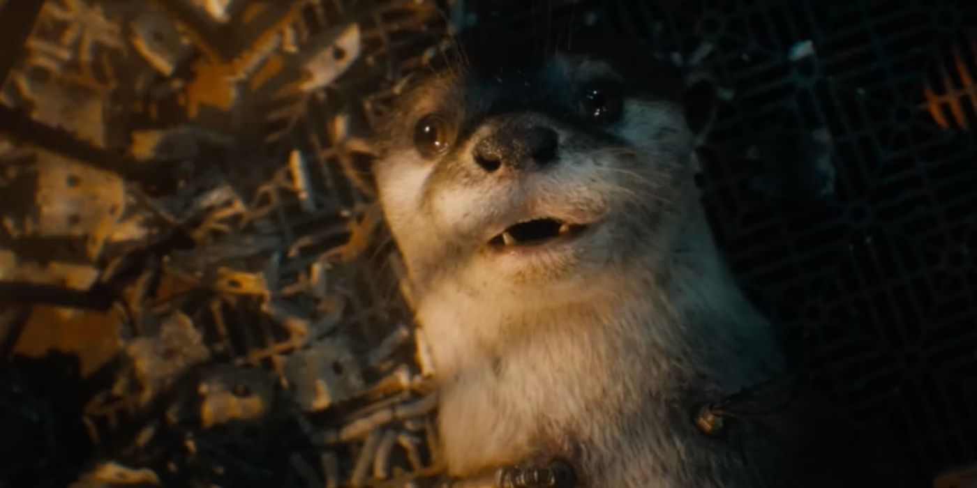 Estoy aún más emocionado por Krypto The Dog en la nueva película de Superman de DC después de que James Gunn nos dio Guardianes de la Galaxia Vol. 3