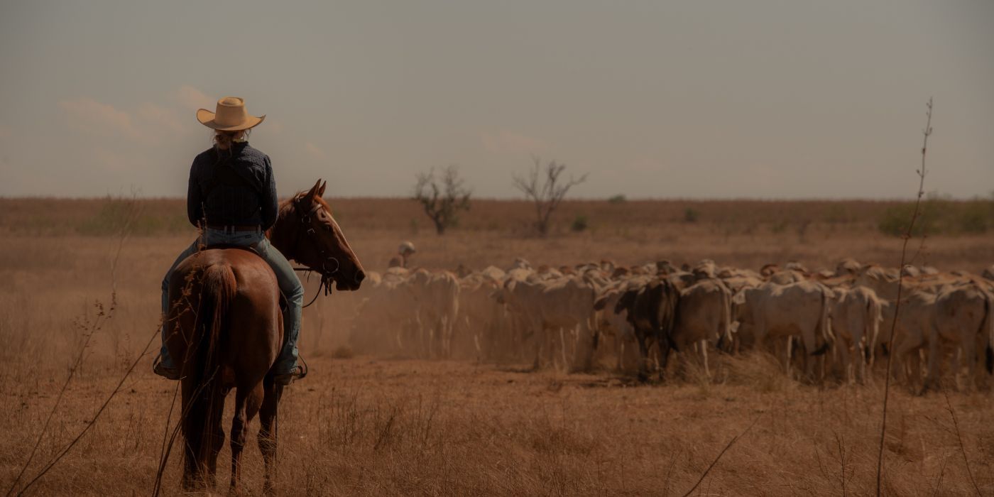 ¿Qué pasó con Campbell Miller en el final de la temporada 1 de Territory?