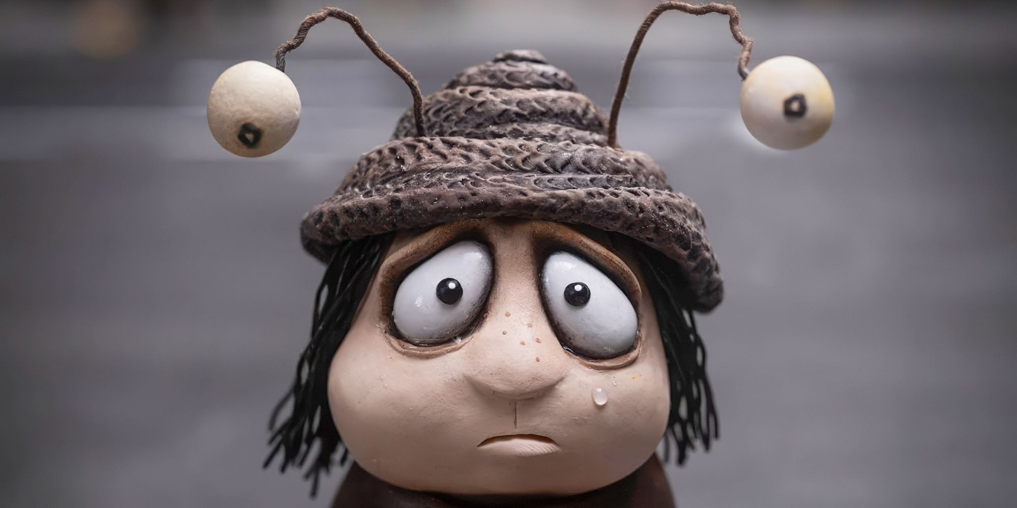 Memoir Of A Snail Review: Adam Elliots New Stop-Motion Film Will Make You Laugh As Much As You Cry