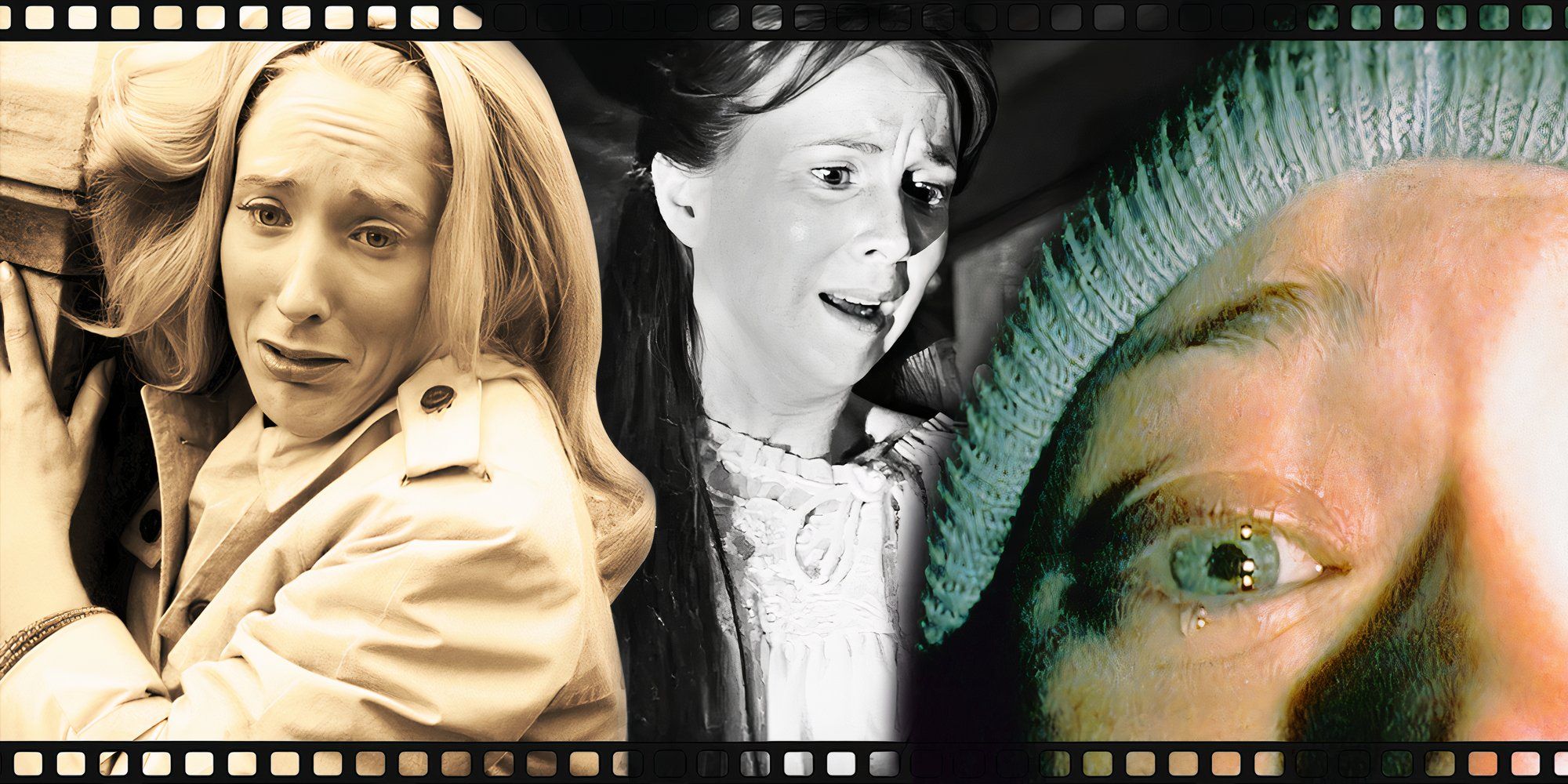 Night of the Living Dead The Haunting Blair Witch Project