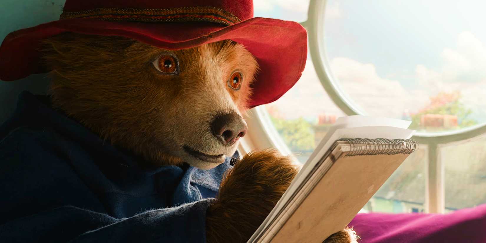 Paddington sitting against a window and writing in his notebook in Paddington in Peru