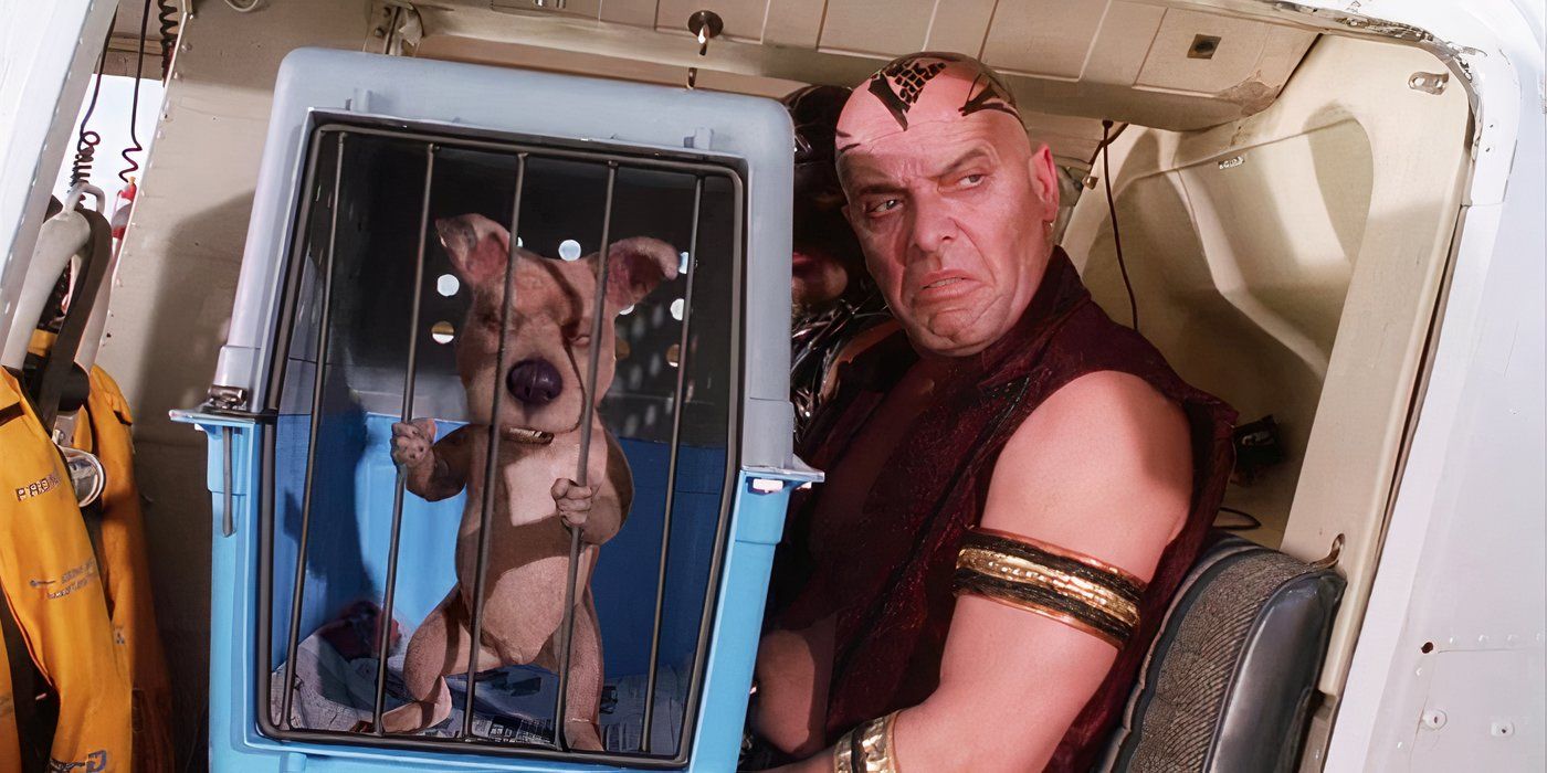 Scooby-Doo 2002 terminó, Scrappy fue arrestado