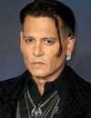 Johnny Depp's Highest-Rated Movie On Rotten Tomatoes: A Surprise Cult Classic Headshot Of Johhny Depp