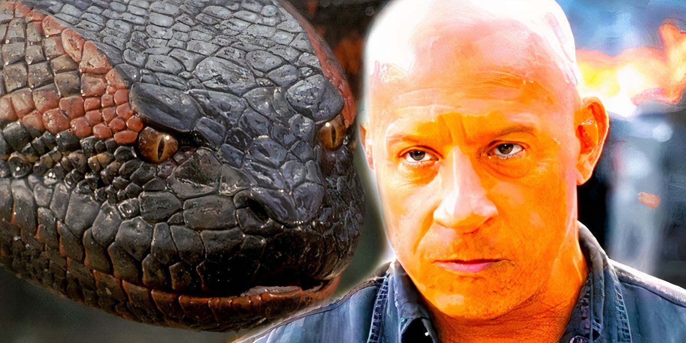 Fast & Furious Franchise Star Joins Paul Rudd & Jack Black In Anaconda ...