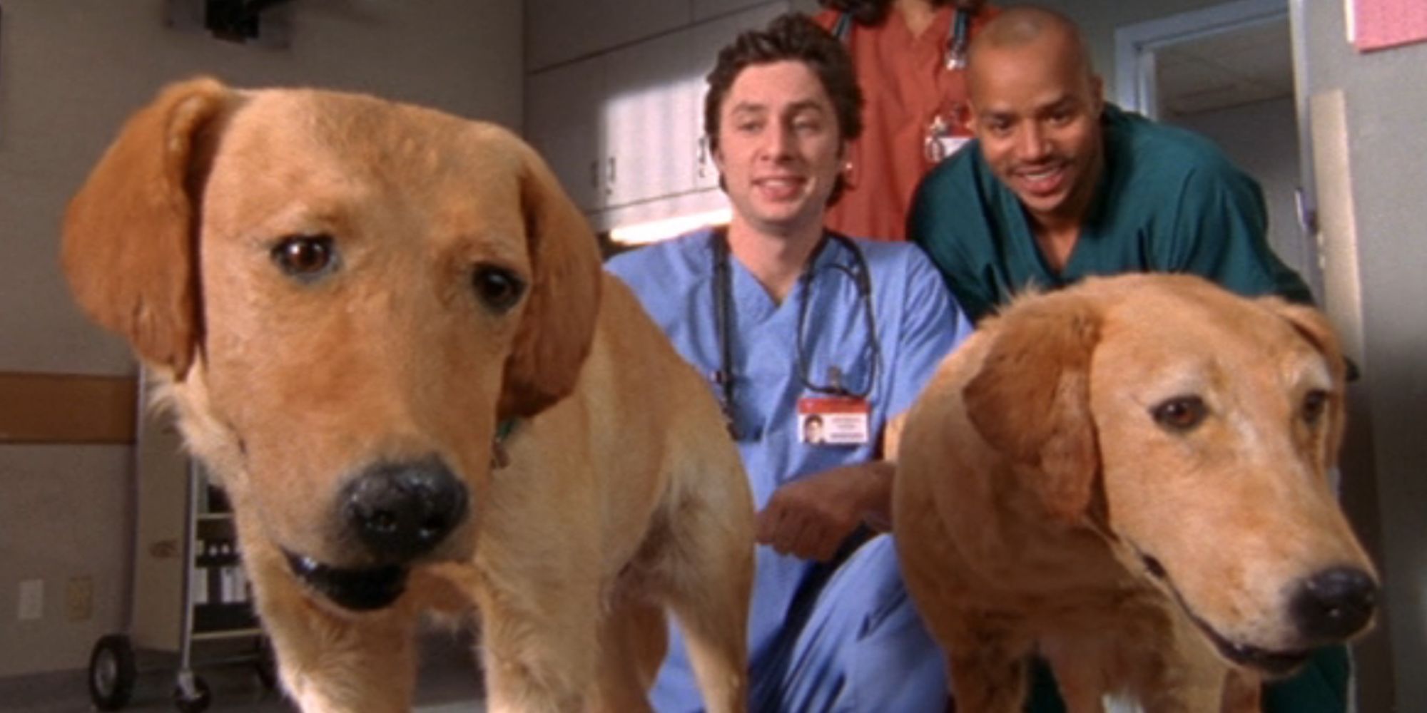 10 Scrubs Revival Predictions, Ranked By How Likely They Are To Happen