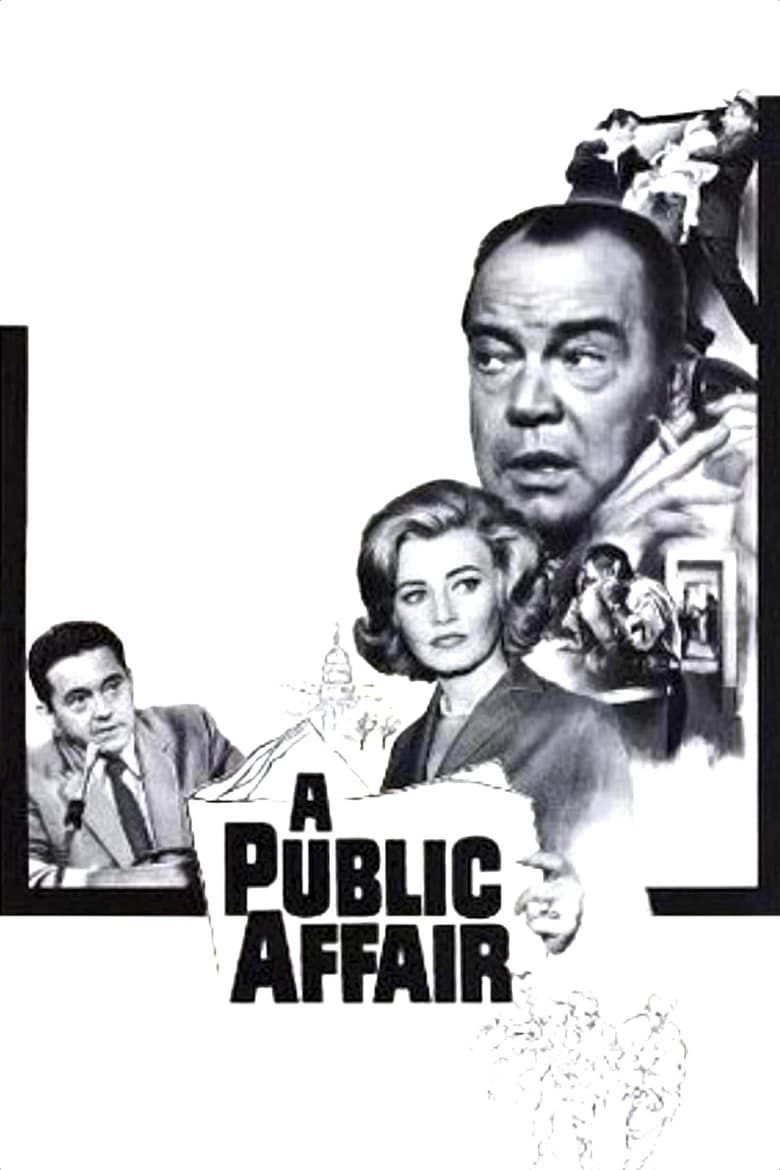 A public affair summary latest news trailer cast where to watch and