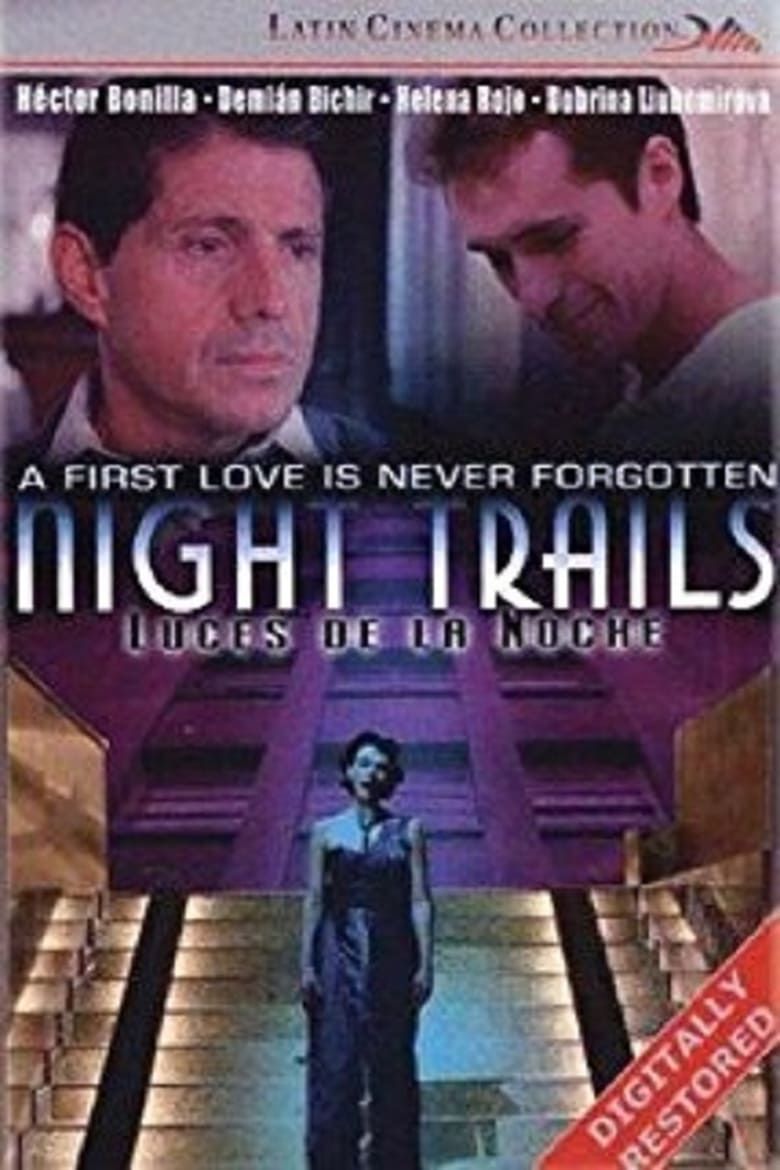 Luces de la noche Summary, Latest News, Trailer, Cast, Where to Watch